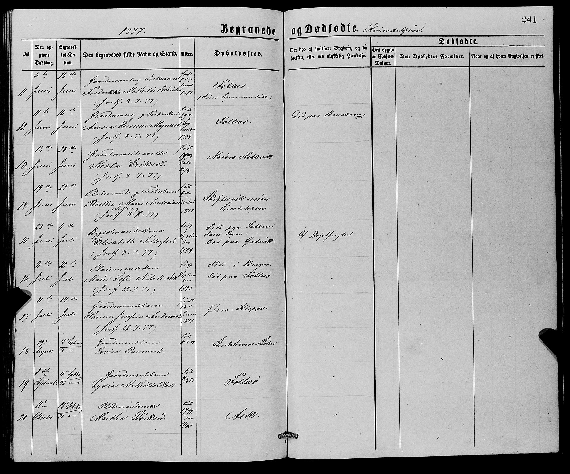 Askøy Sokneprestembete, SAB/A-74101/H/Ha/Hab/Haba/L0007: Parish register (copy) no. A 7, 1871-1881, p. 241
