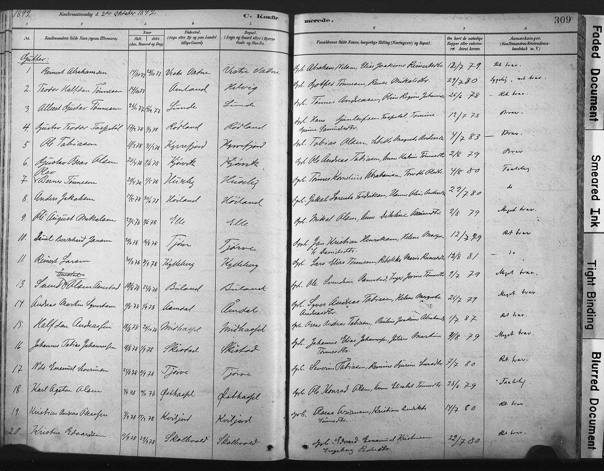 Lista sokneprestkontor, AV/SAK-1111-0027/F/Fa/L0012: Parish register (official) no. A 12, 1879-1903, p. 309