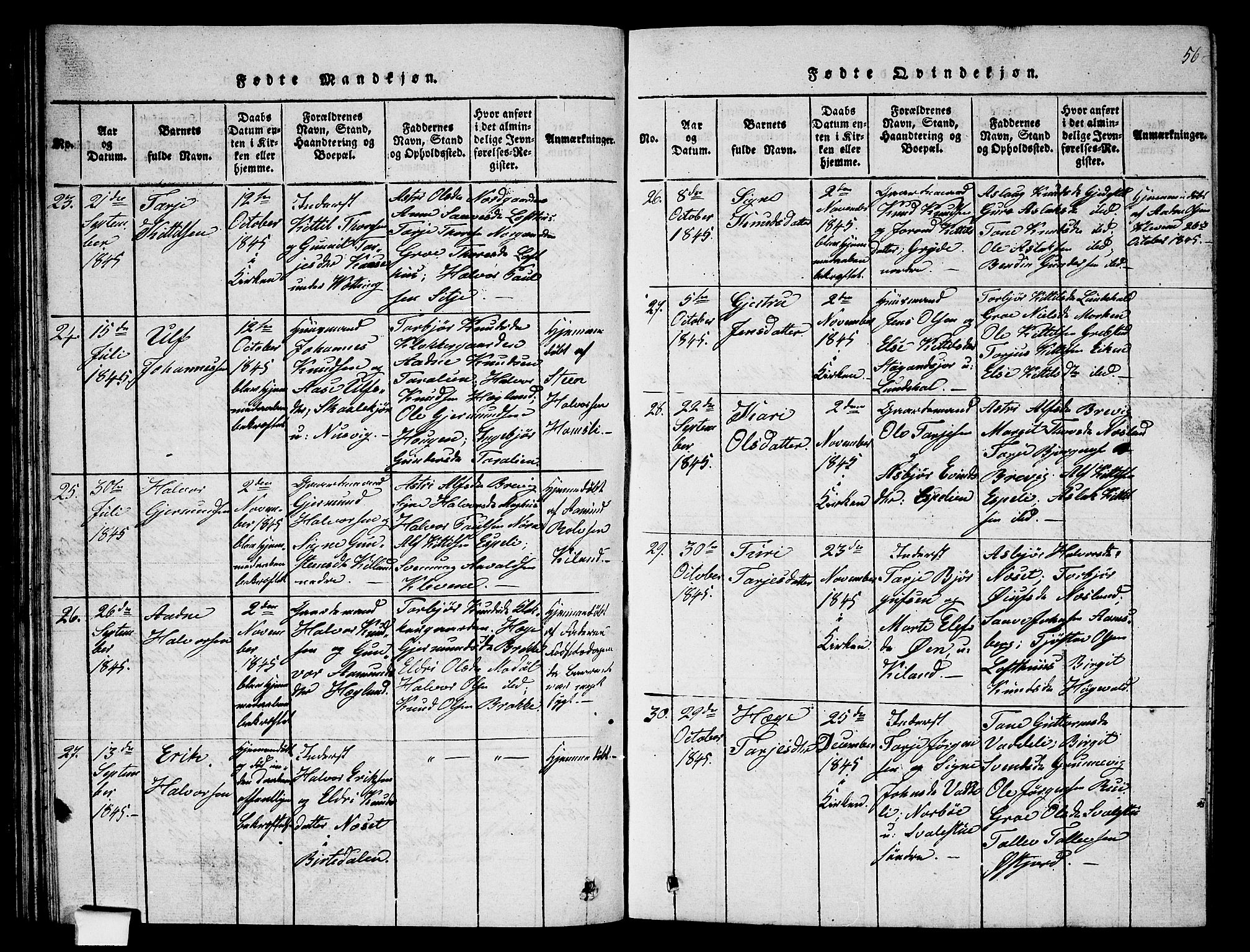 Fyresdal kirkebøker, SAKO/A-263/G/Ga/L0002: Parish register (copy) no. I 2, 1815-1857, p. 56