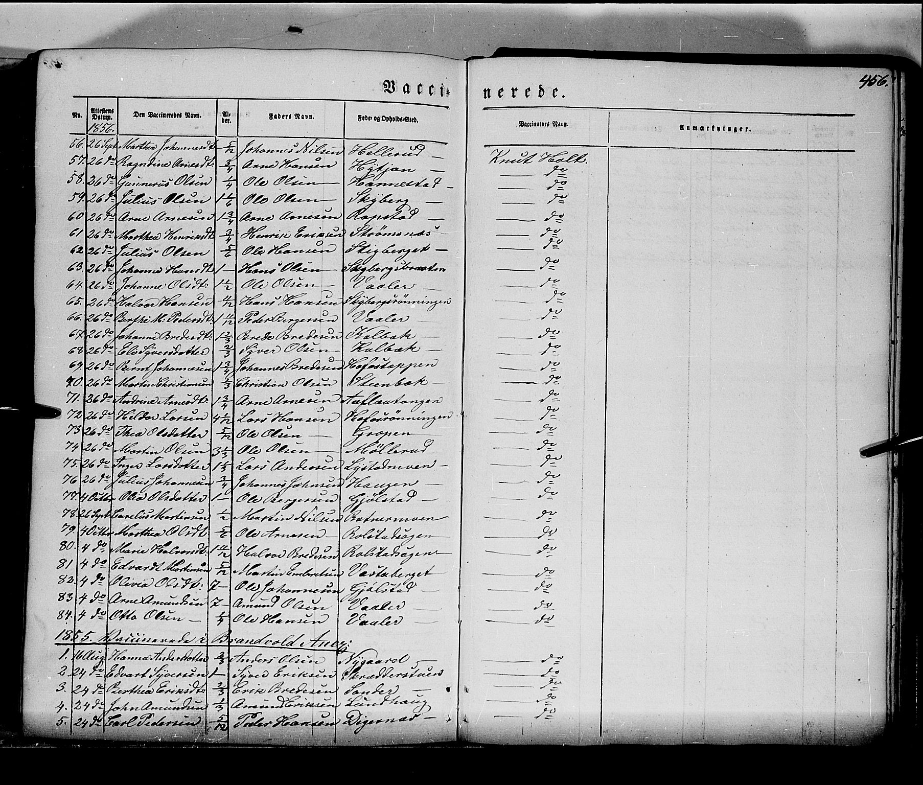 Grue prestekontor, AV/SAH-PREST-036/H/Ha/Haa/L0008: Parish register (official) no. 8, 1847-1858, p. 456