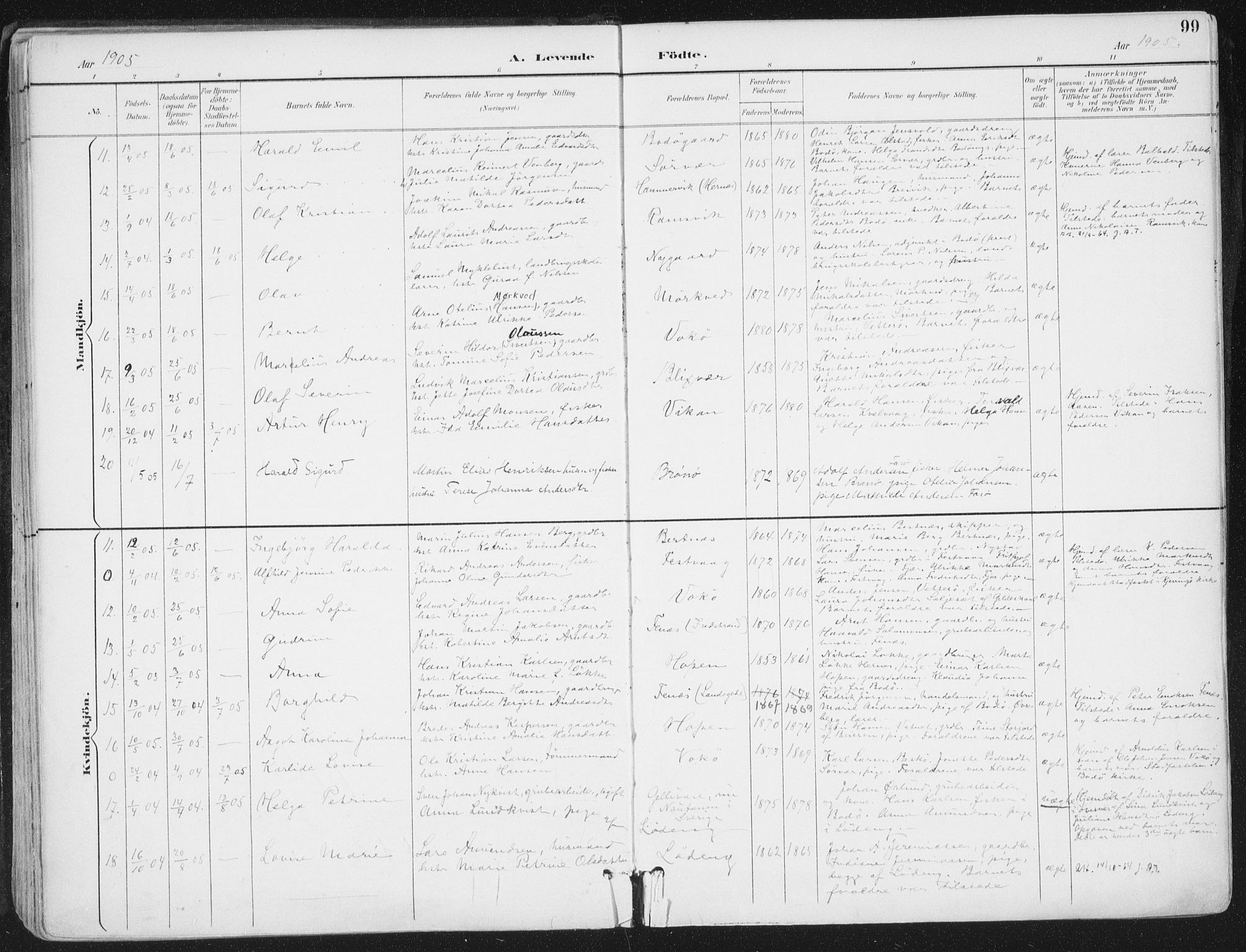 Ministerialprotokoller, klokkerbøker og fødselsregistre - Nordland, AV/SAT-A-1459/802/L0055: Parish register (official) no. 802A02, 1894-1915, p. 99