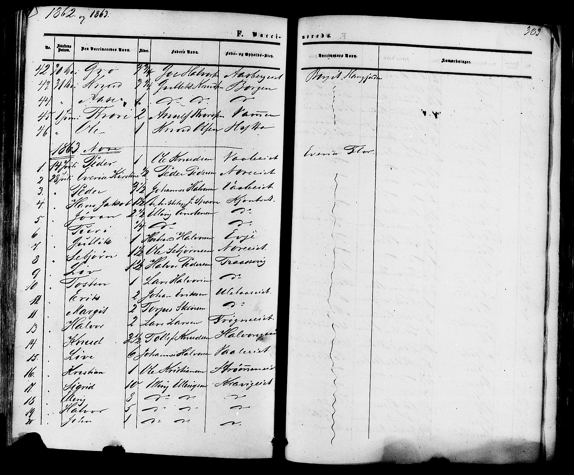 Nore kirkebøker, SAKO/A-238/F/Fa/L0003: Parish register (official) no. I 3, 1858-1866, p. 383