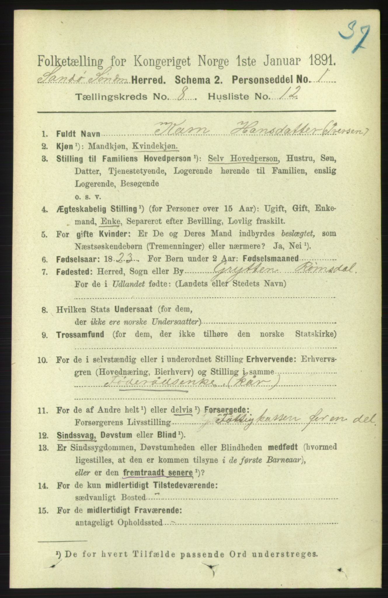 RA, 1891 census for 1514 Sande, 1891, p. 1431