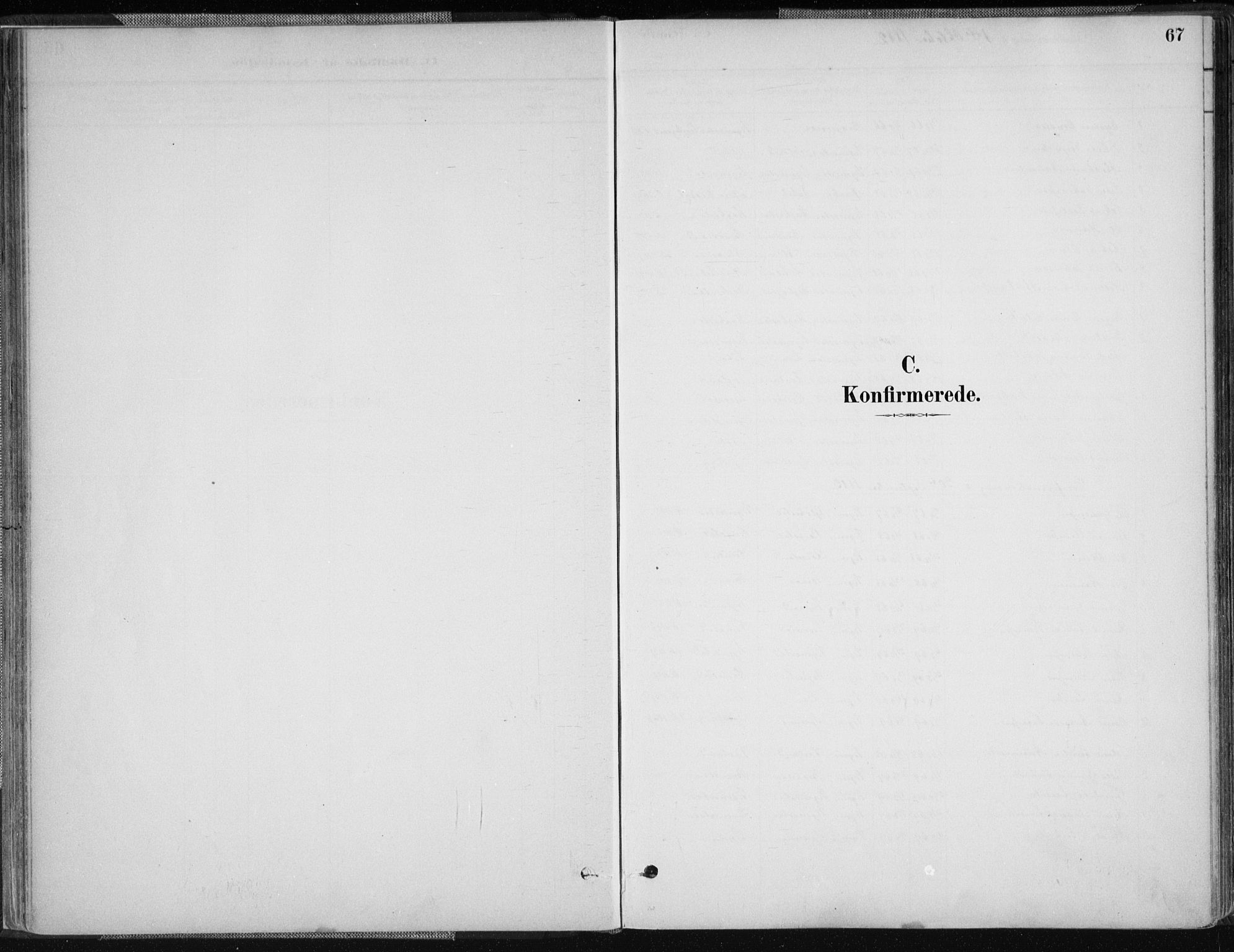 Nord-Audnedal sokneprestkontor, SAK/1111-0032/F/Fa/Fab/L0003: Parish register (official) no. A 3, 1882-1900, p. 67