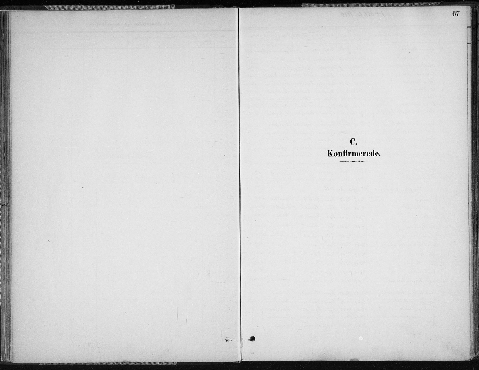 Nord-Audnedal sokneprestkontor, AV/SAK-1111-0032/F/Fa/Fab/L0003: Parish register (official) no. A 3, 1882-1900, p. 67