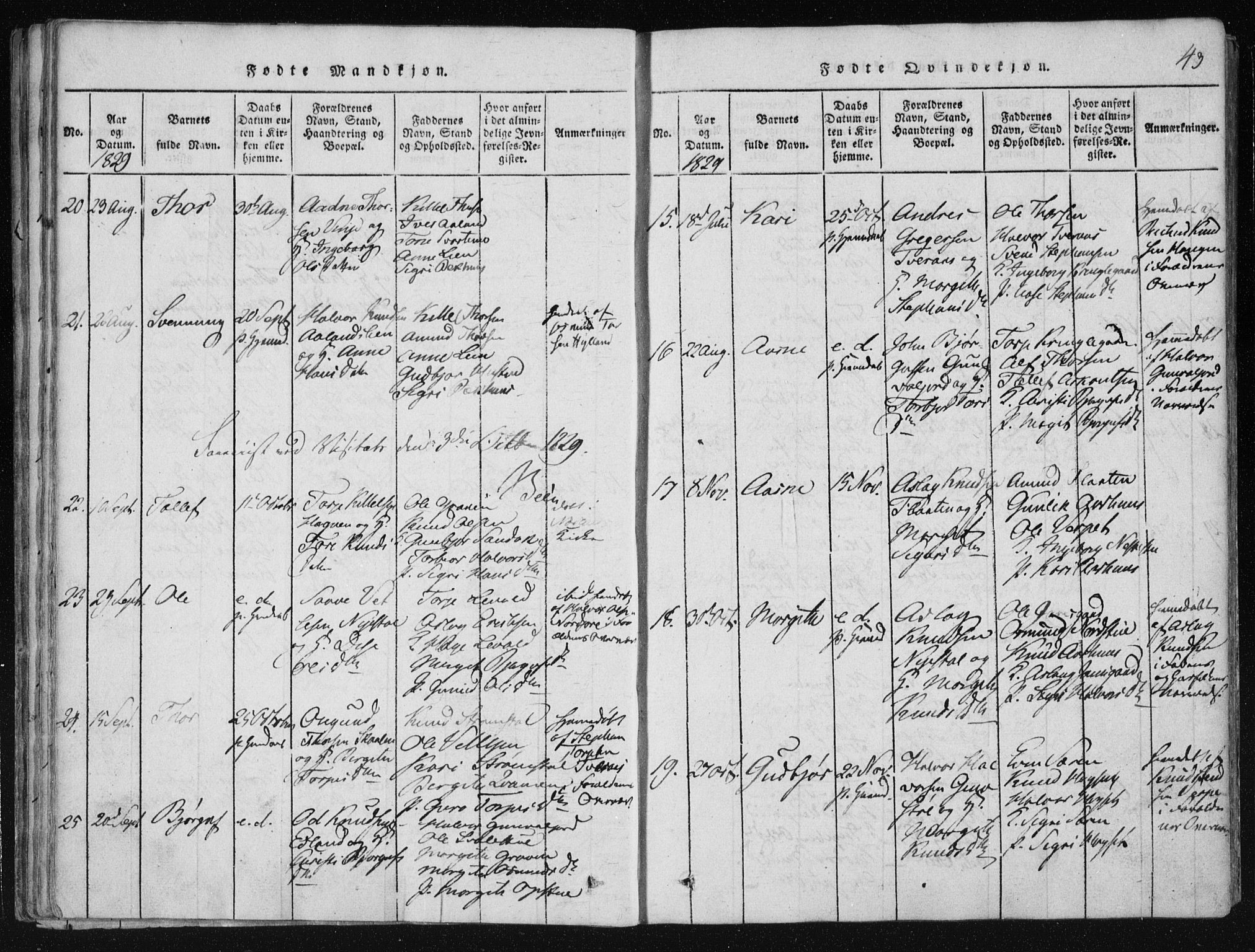 Vinje kirkebøker, AV/SAKO-A-312/F/Fa/L0003: Parish register (official) no. I 3, 1814-1843, p. 43