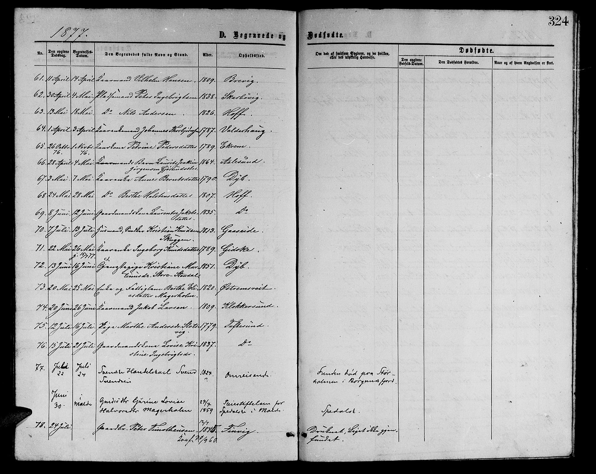 Ministerialprotokoller, klokkerbøker og fødselsregistre - Møre og Romsdal, AV/SAT-A-1454/528/L0428: Parish register (copy) no. 528C09, 1864-1880, p. 324