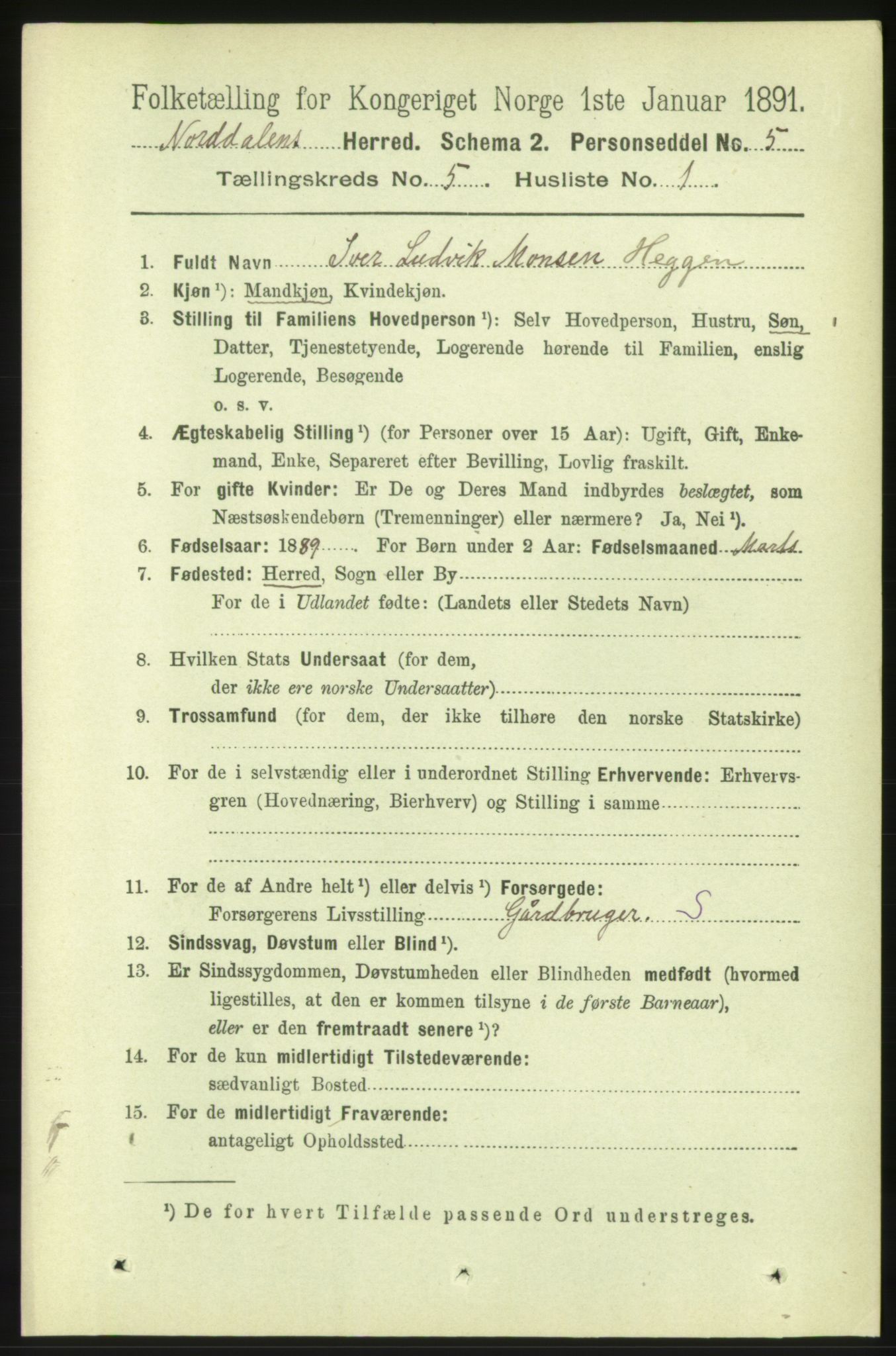 RA, 1891 census for 1524 Norddal, 1891, p. 999