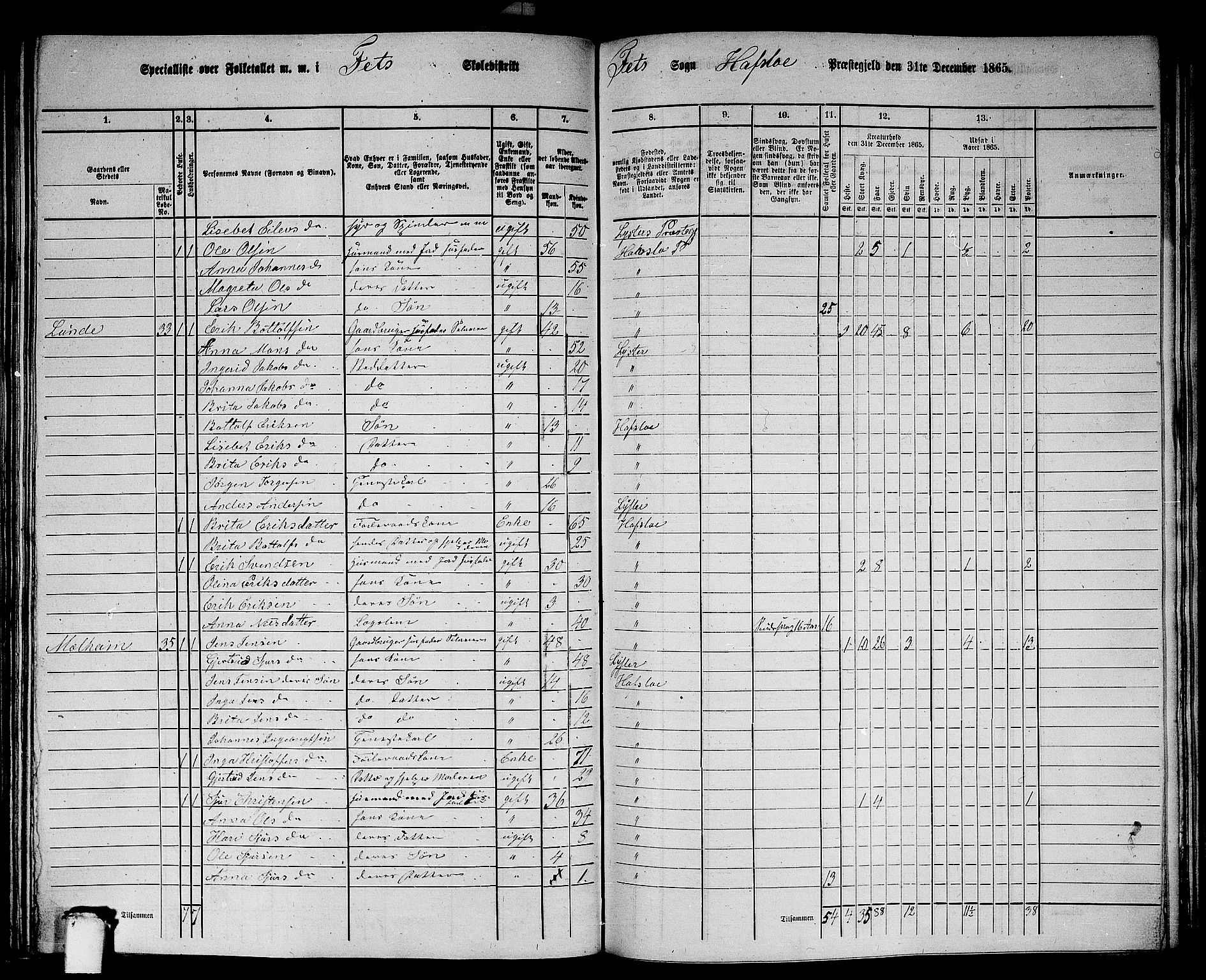 RA, 1865 census for Hafslo, 1865, p. 108