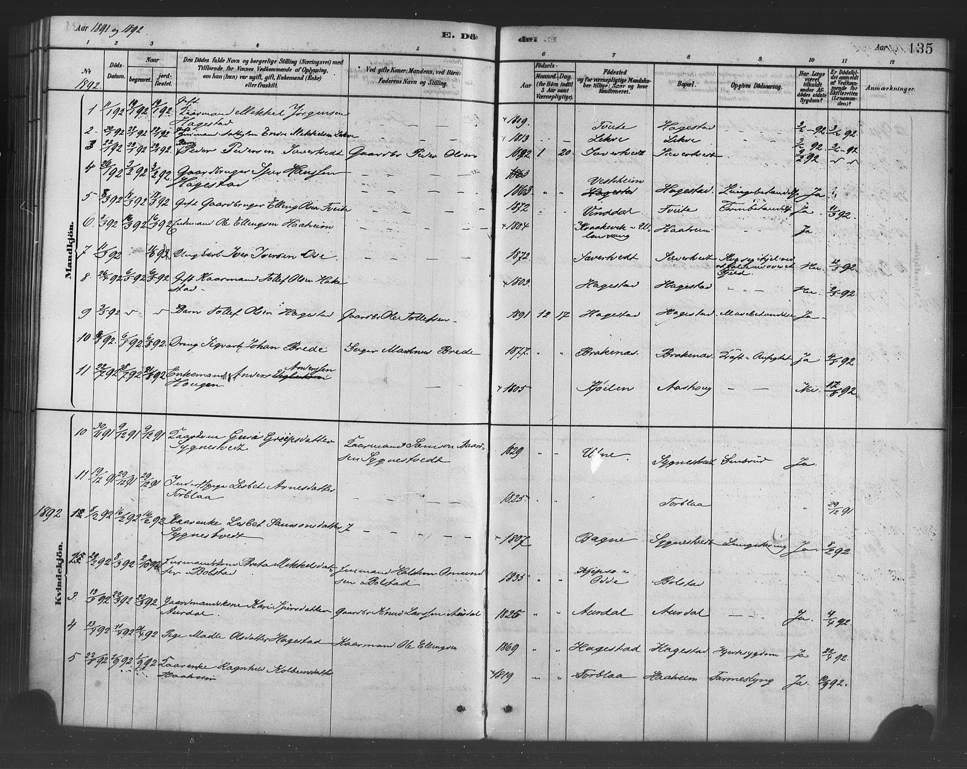 Ulvik sokneprestembete, AV/SAB-A-78801/H/Haa: Parish register (official) no. B 1, 1878-1897, p. 135