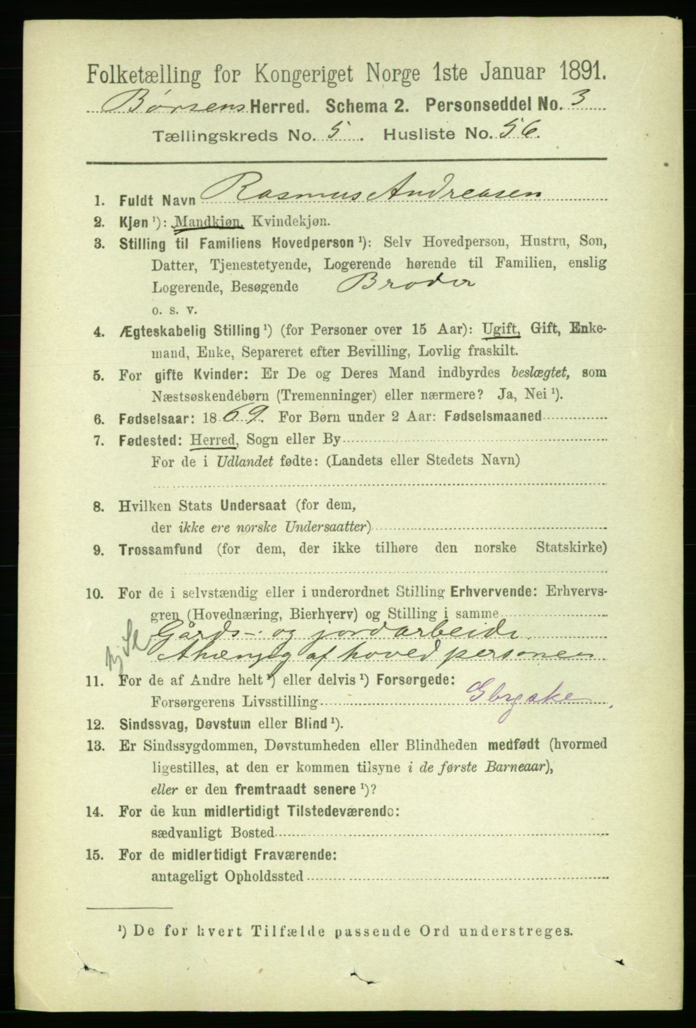 RA, 1891 census for 1658 Børsa, 1891, p. 2307