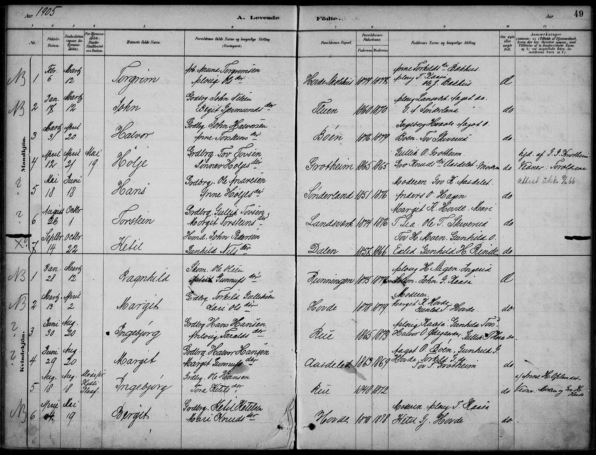 Hjartdal kirkebøker, SAKO/A-270/F/Fc/L0002: Parish register (official) no. III 2, 1880-1936, p. 49