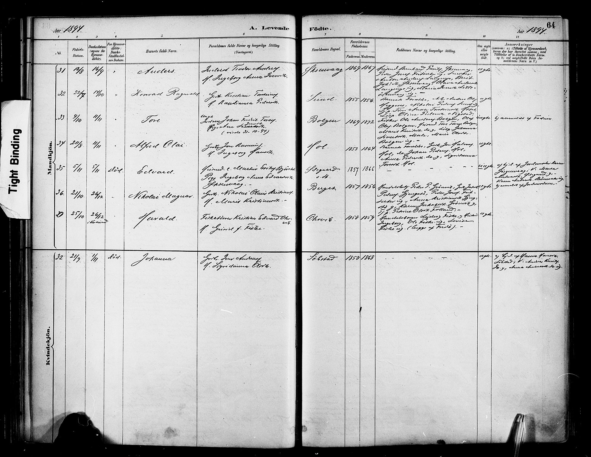 Ministerialprotokoller, klokkerbøker og fødselsregistre - Møre og Romsdal, AV/SAT-A-1454/569/L0819: Parish register (official) no. 569A05, 1885-1899, p. 64