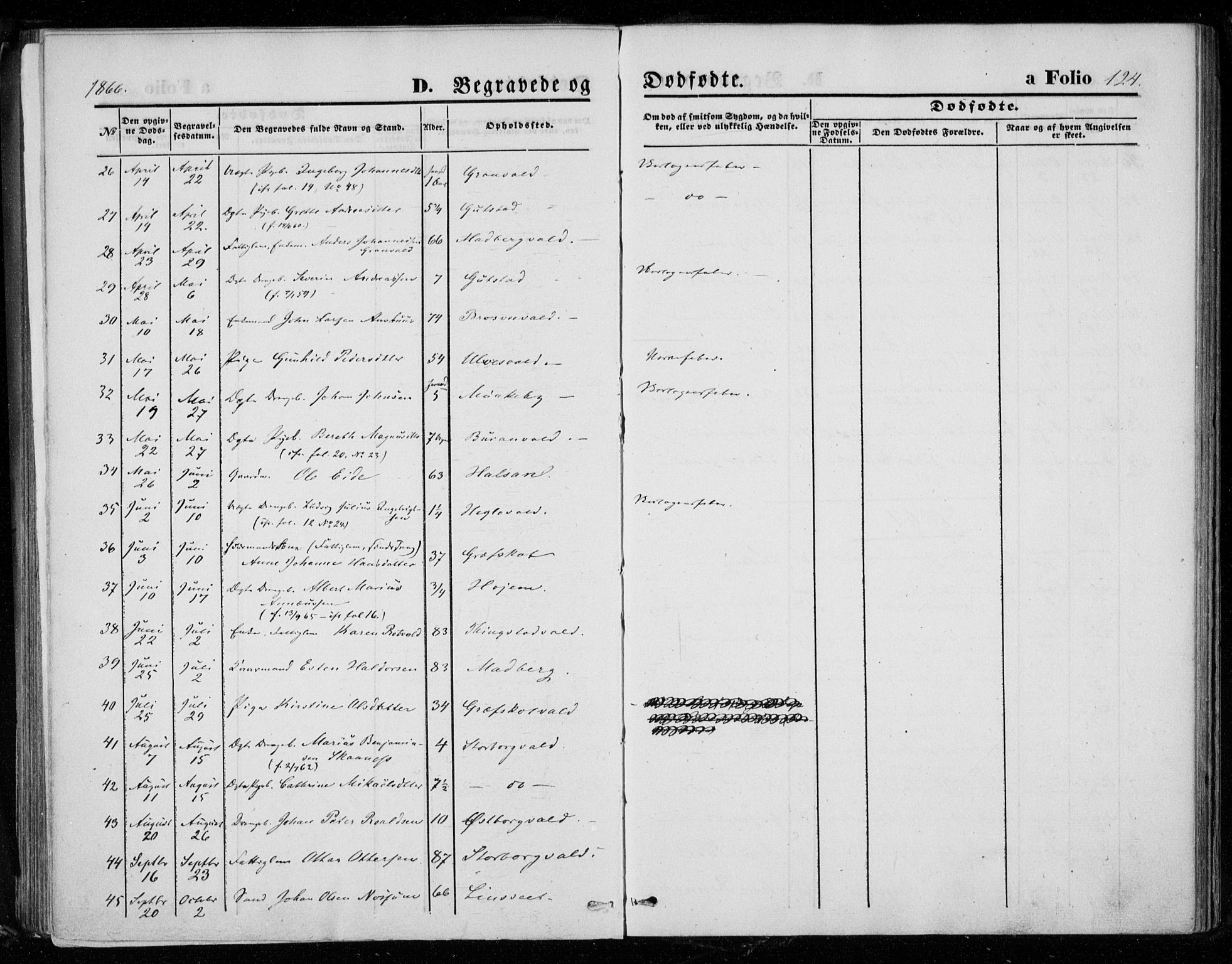 Ministerialprotokoller, klokkerbøker og fødselsregistre - Nord-Trøndelag, SAT/A-1458/721/L0206: Parish register (official) no. 721A01, 1864-1874, p. 124