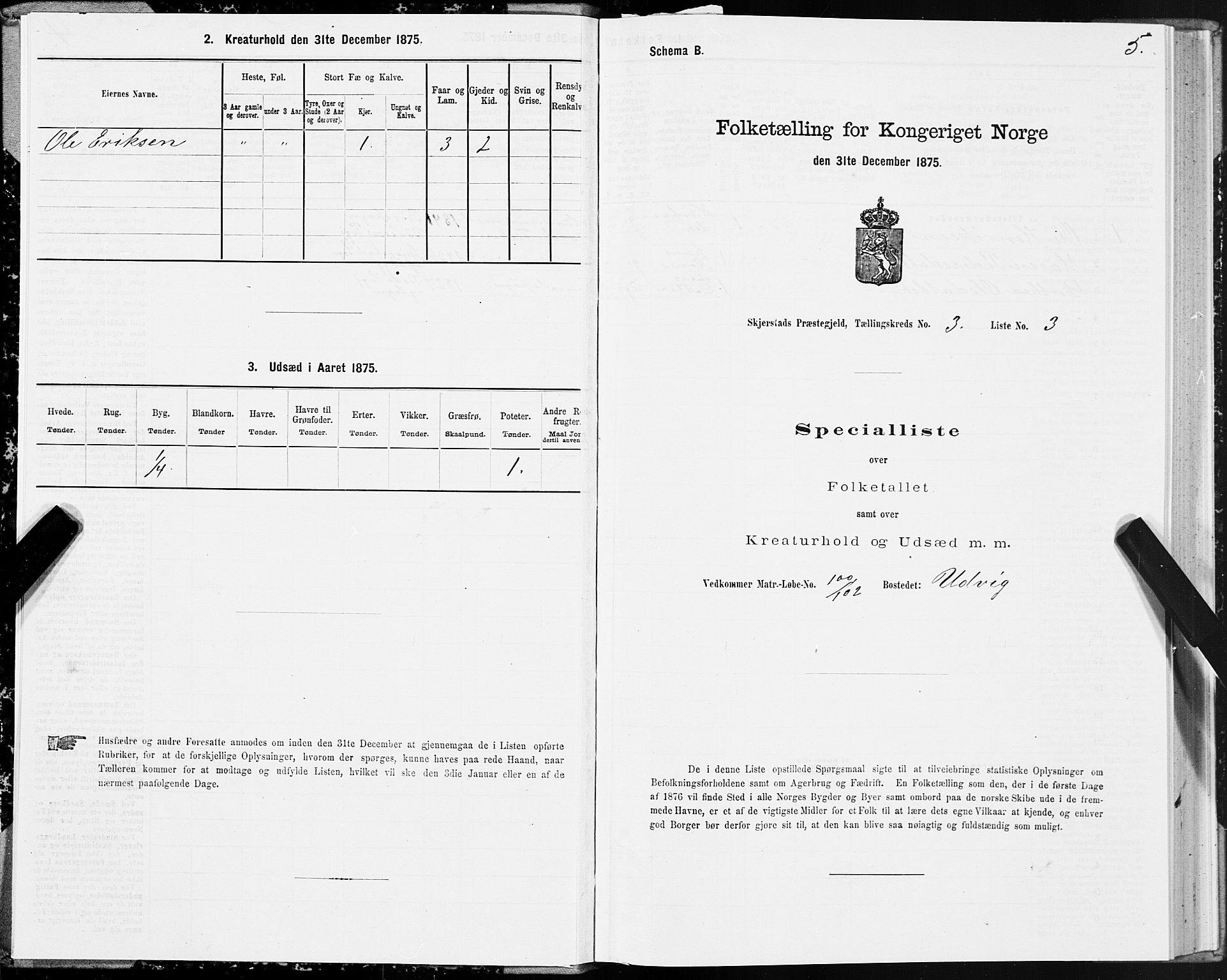SAT, 1875 census for 1842P Skjerstad, 1875, p. 2005