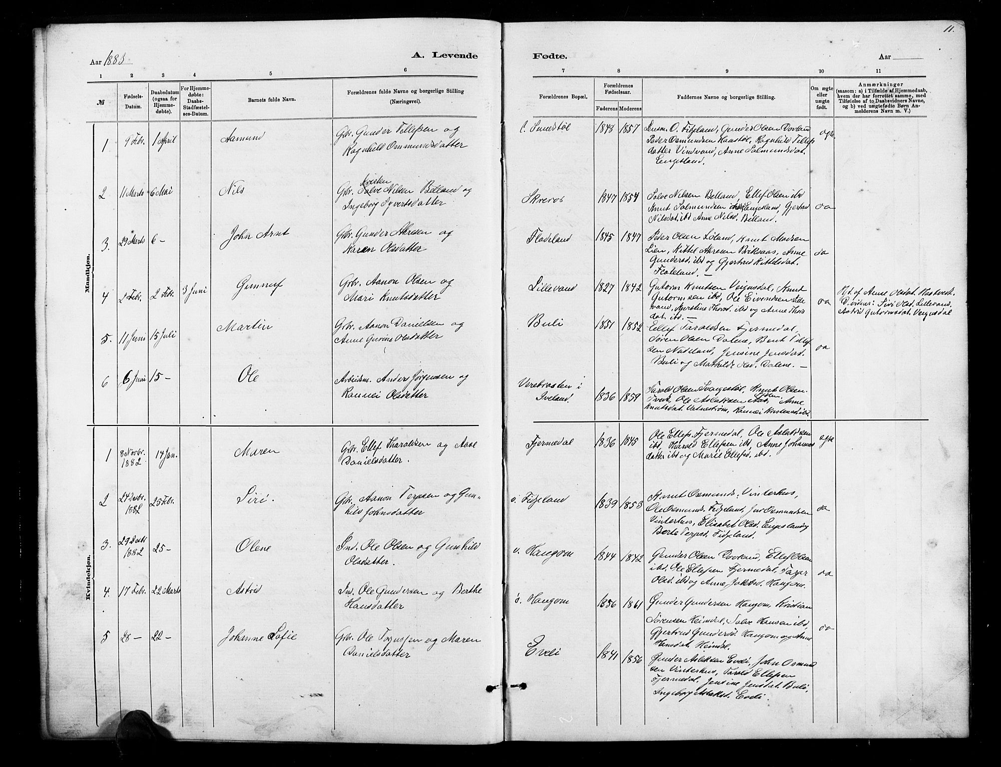 Herefoss sokneprestkontor, SAK/1111-0019/F/Fb/Fbb/L0002: Parish register (copy) no. B 2, 1879-1894, p. 11