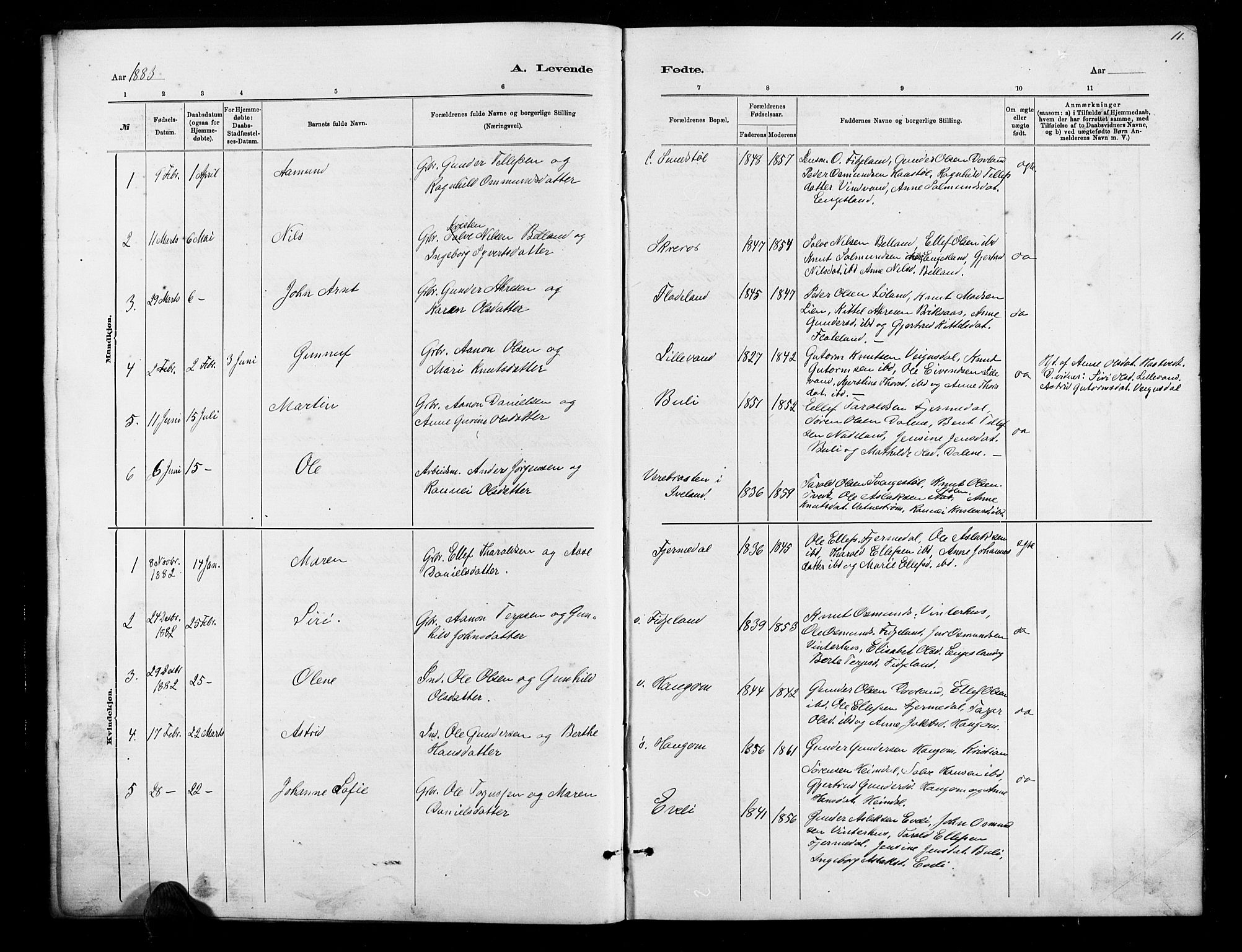 Herefoss sokneprestkontor, AV/SAK-1111-0019/F/Fb/Fbb/L0002: Parish register (copy) no. B 2, 1879-1894, p. 11