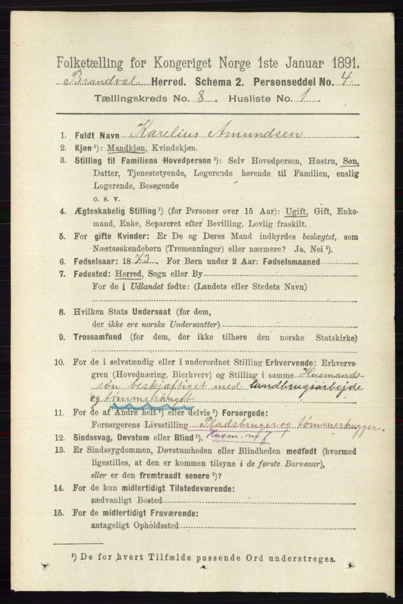 RA, 1891 census for 0422 Brandval, 1891, p. 3838