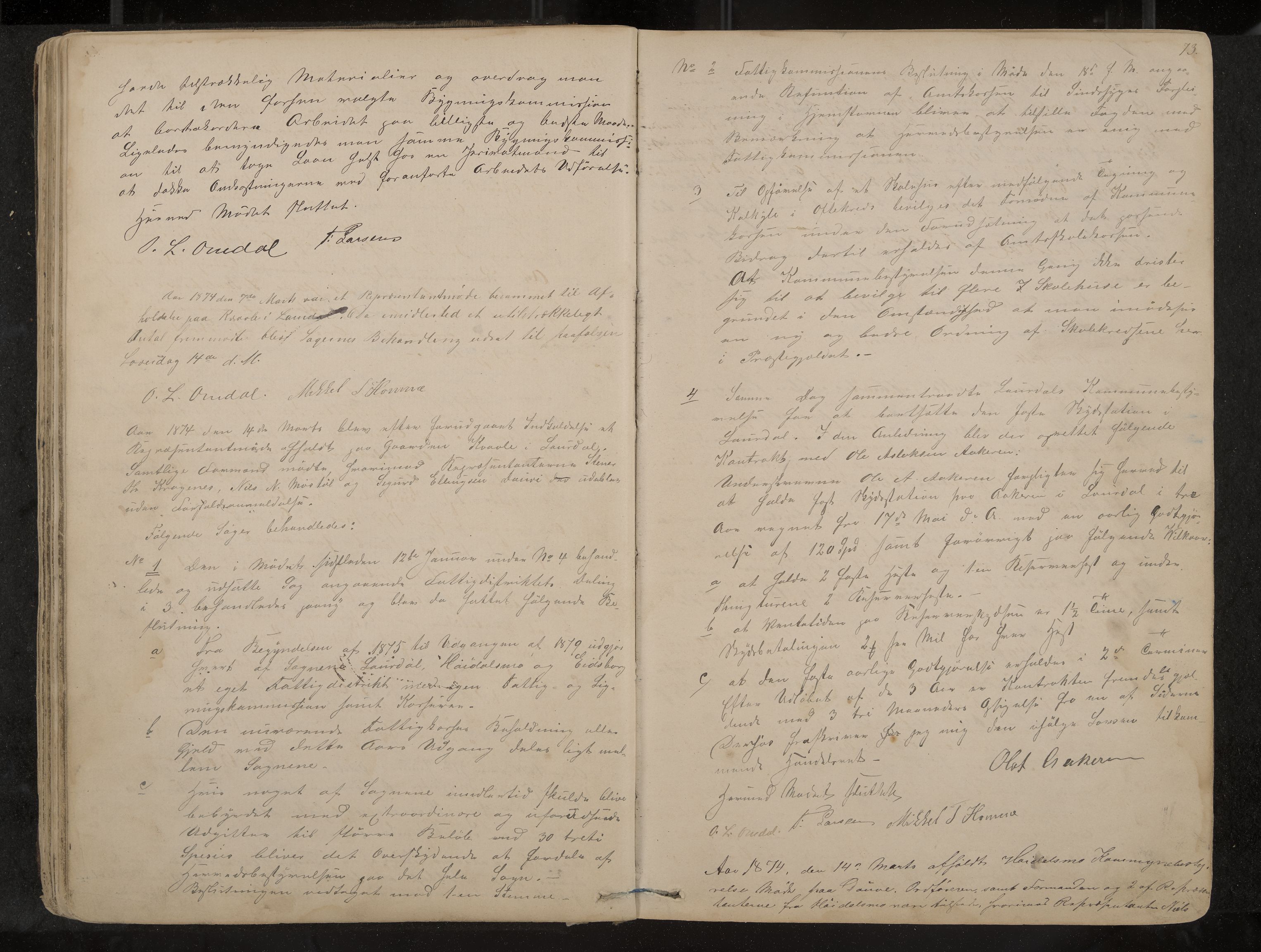 Lårdal formannskap og sentraladministrasjon, IKAK/0833021/A/L0002: Møtebok, 1865-1893, p. 73