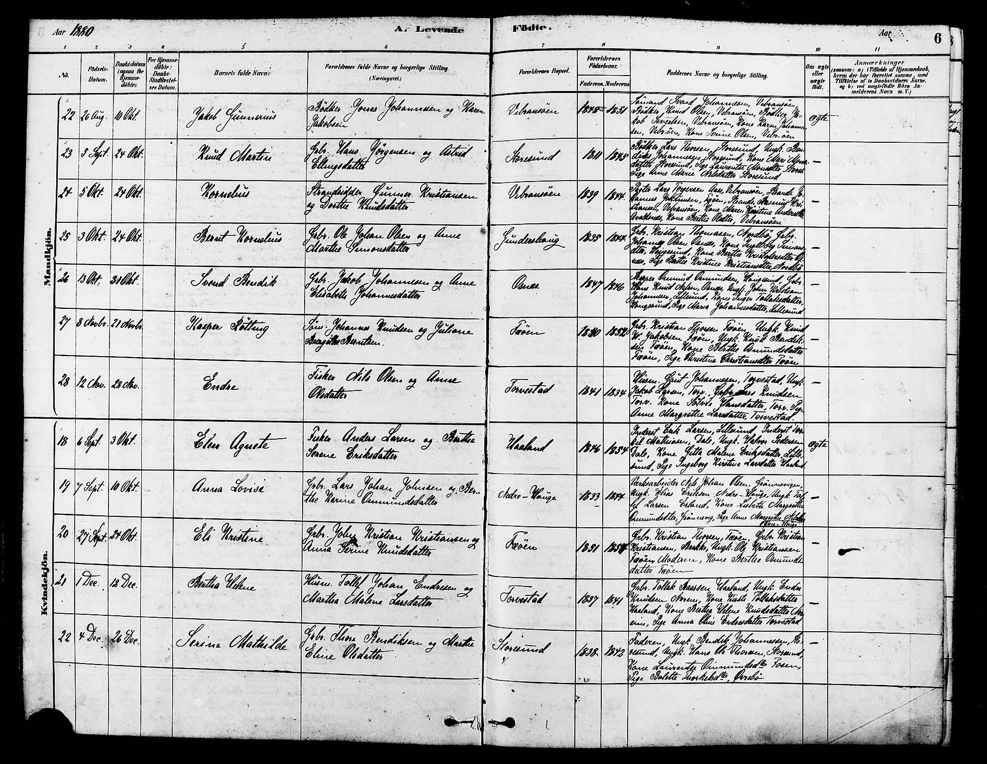 Torvastad sokneprestkontor, SAST/A -101857/H/Ha/Haa/L0014: Parish register (official) no. A 13, 1879-1888, p. 6