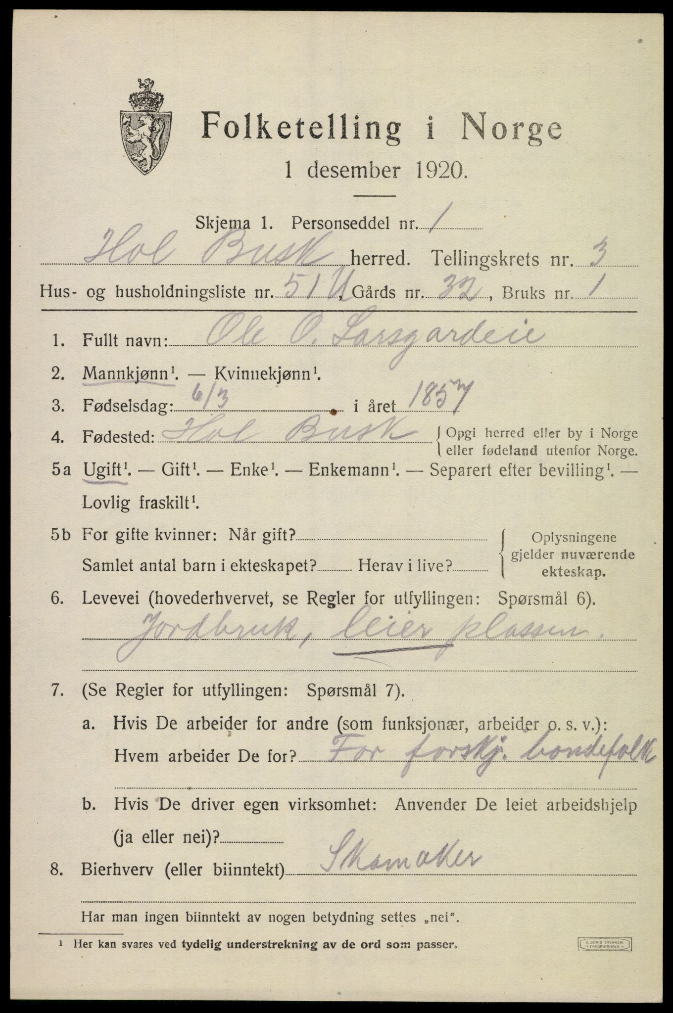 SAKO, 1920 census for Hol (Buskerud), 1920, p. 2415