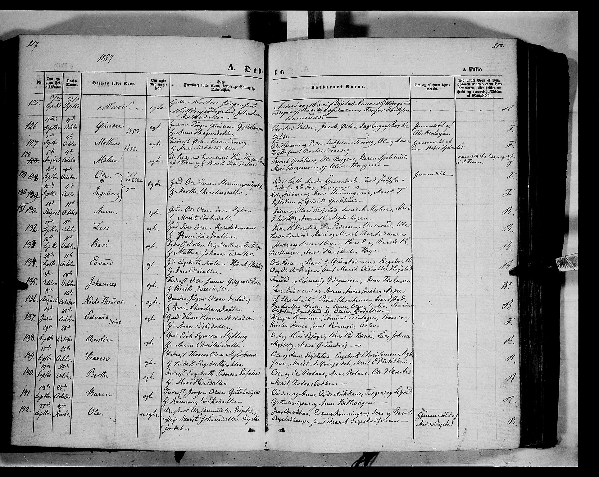 Ringebu prestekontor, SAH/PREST-082/H/Ha/Haa/L0006: Parish register (official) no. 6, 1848-1859, p. 217-218