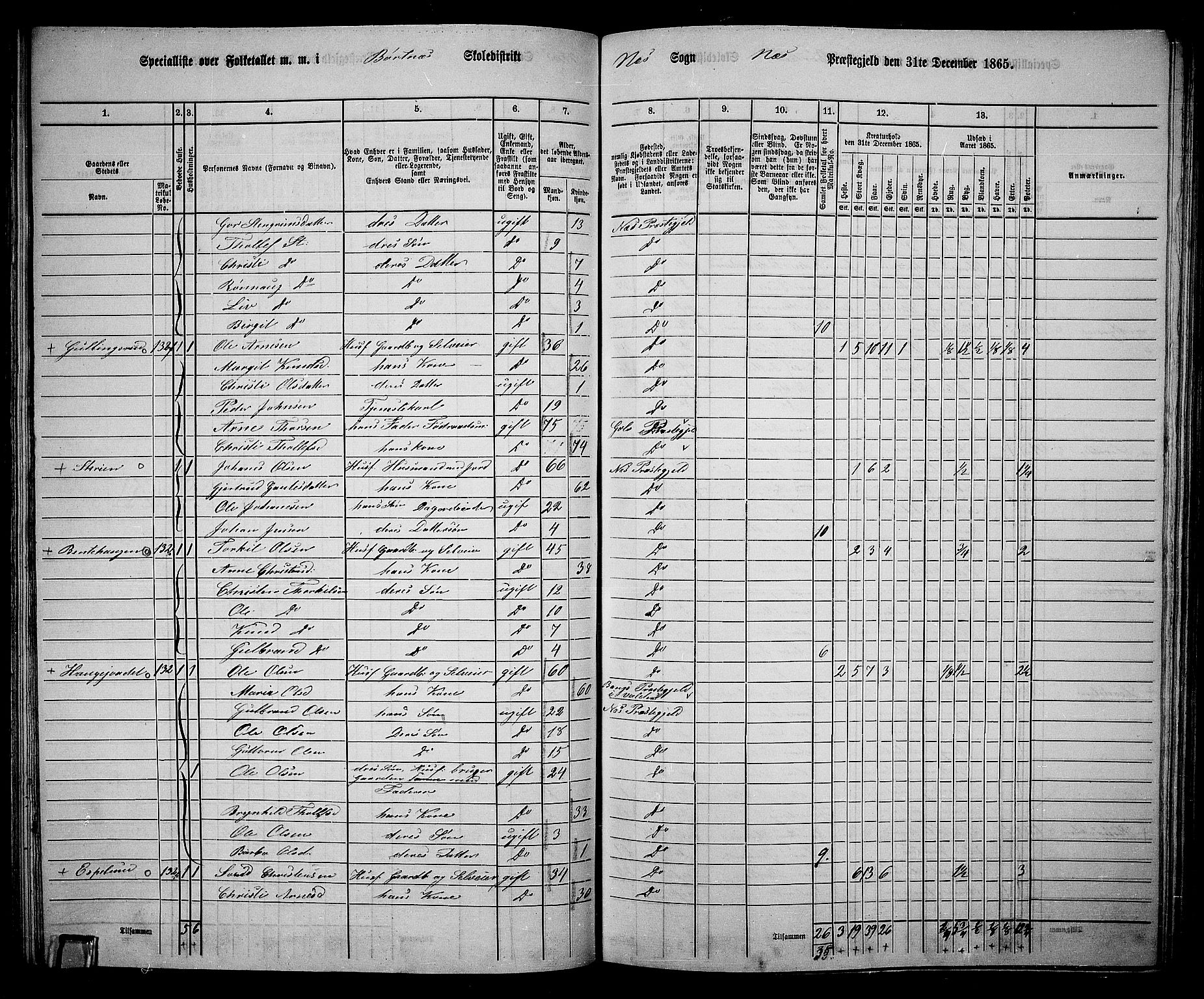 RA, 1865 census for Nes, 1865, p. 111