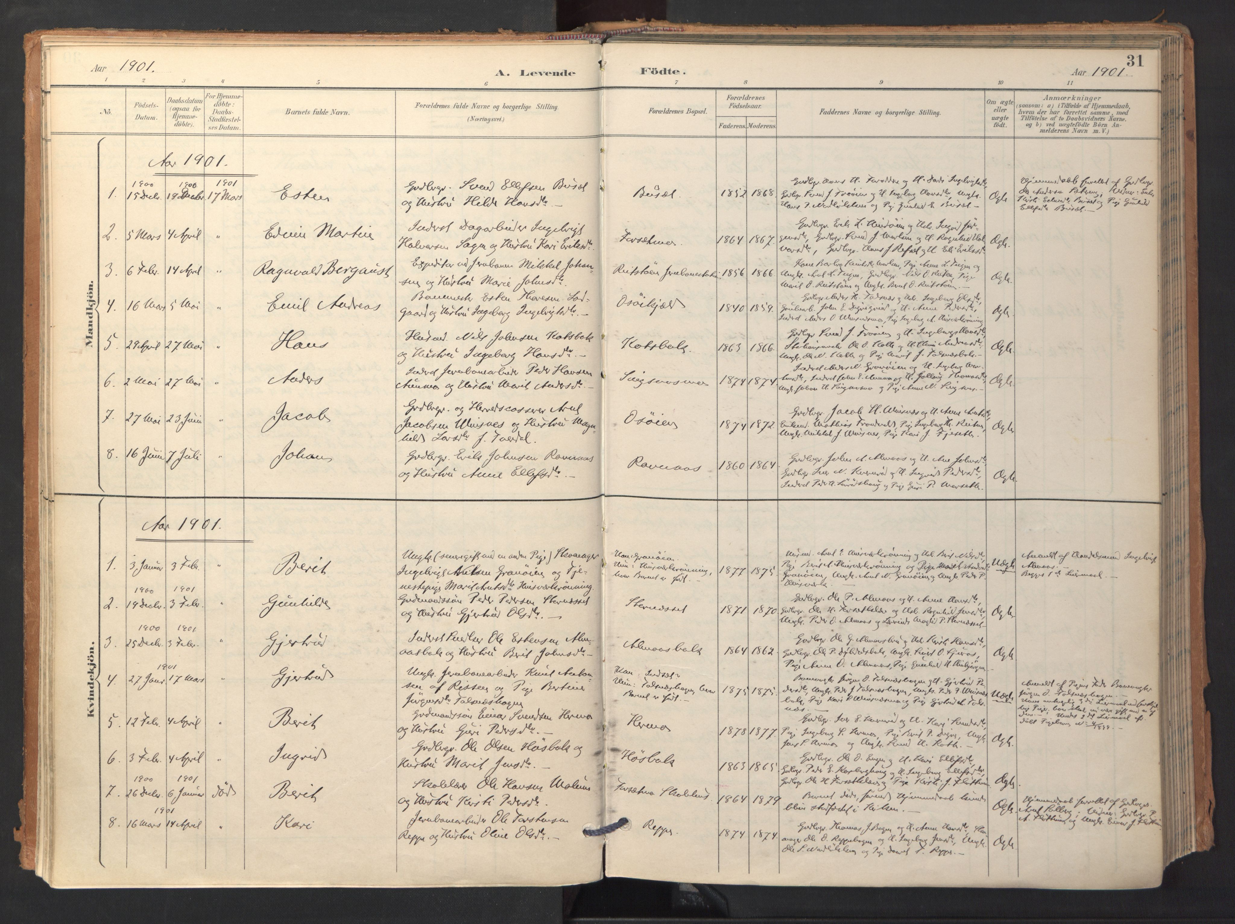 Ministerialprotokoller, klokkerbøker og fødselsregistre - Sør-Trøndelag, SAT/A-1456/688/L1025: Parish register (official) no. 688A02, 1891-1909, p. 31