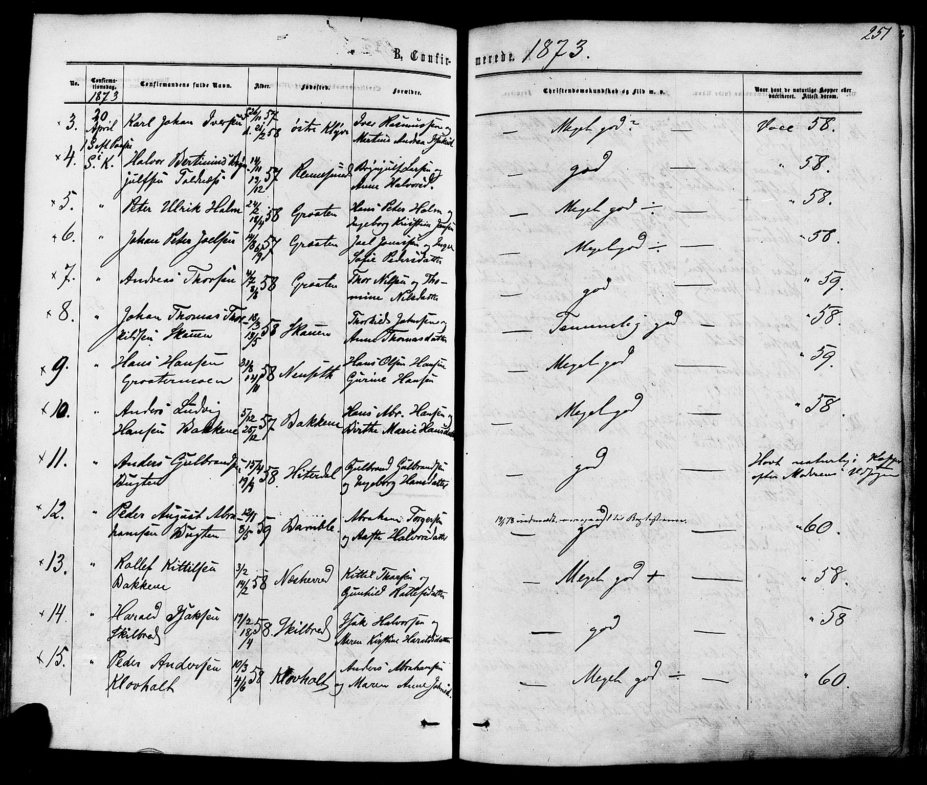 Solum kirkebøker, AV/SAKO-A-306/F/Fa/L0008: Parish register (official) no. I 8, 1865-1876, p. 251