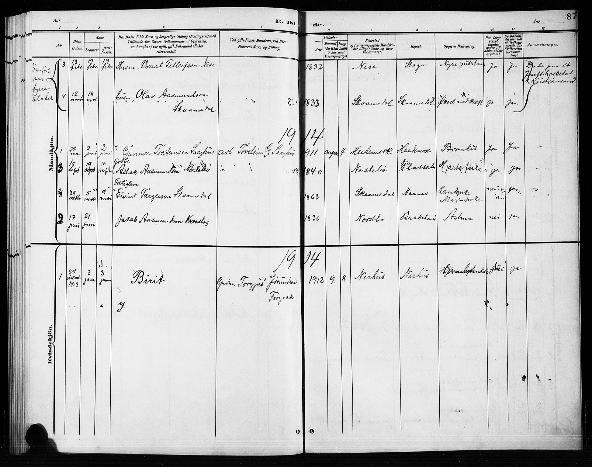 Bygland sokneprestkontor, AV/SAK-1111-0006/F/Fb/Fbb/L0004: Parish register (copy) no. B 4, 1902-1920, p. 87