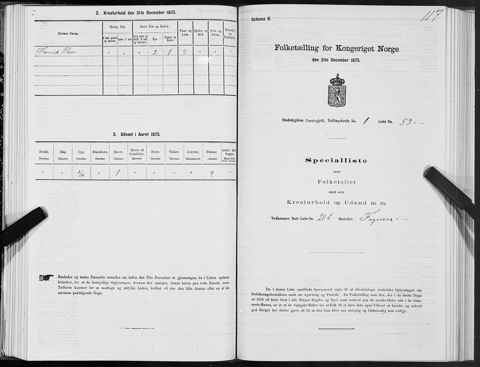 SAT, 1875 census for 1625P Stadsbygd, 1875, p. 1117