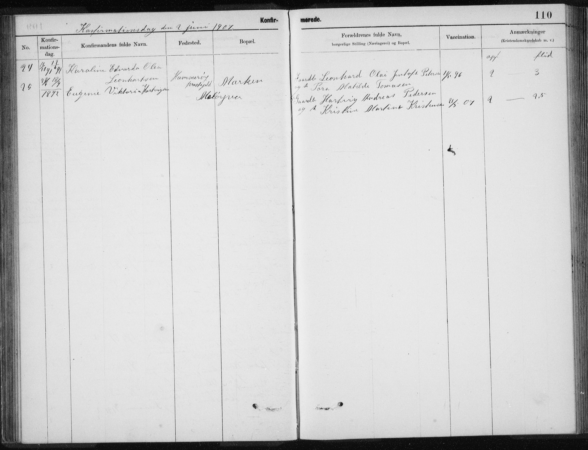 Ministerialprotokoller, klokkerbøker og fødselsregistre - Nordland, AV/SAT-A-1459/843/L0637: Parish register (copy) no. 843C06, 1884-1908, p. 110