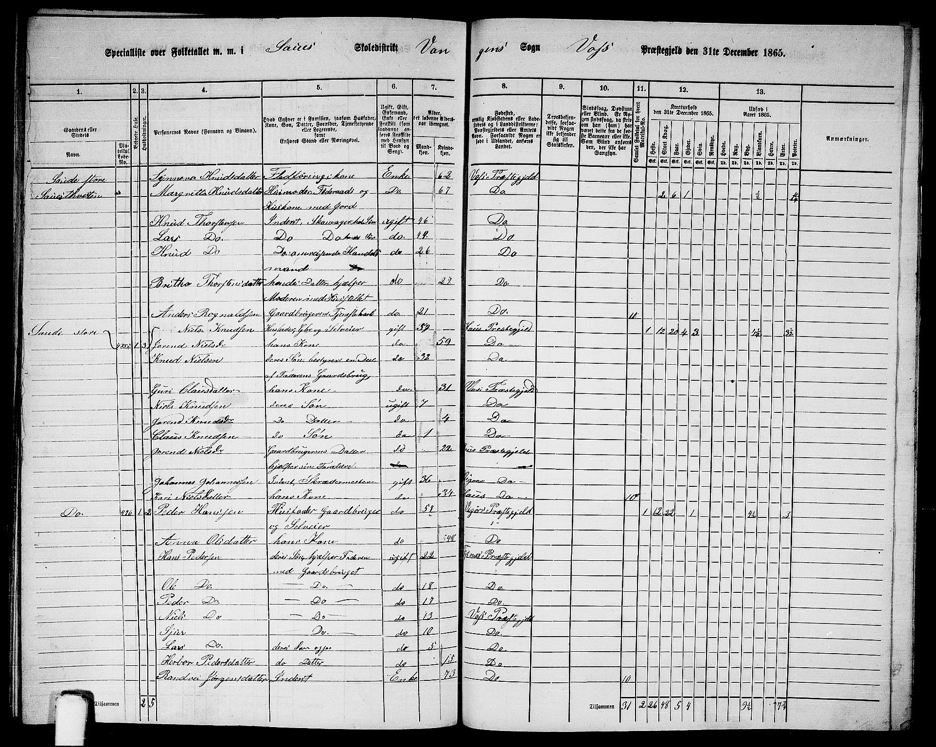 RA, 1865 census for Voss, 1865, p. 212