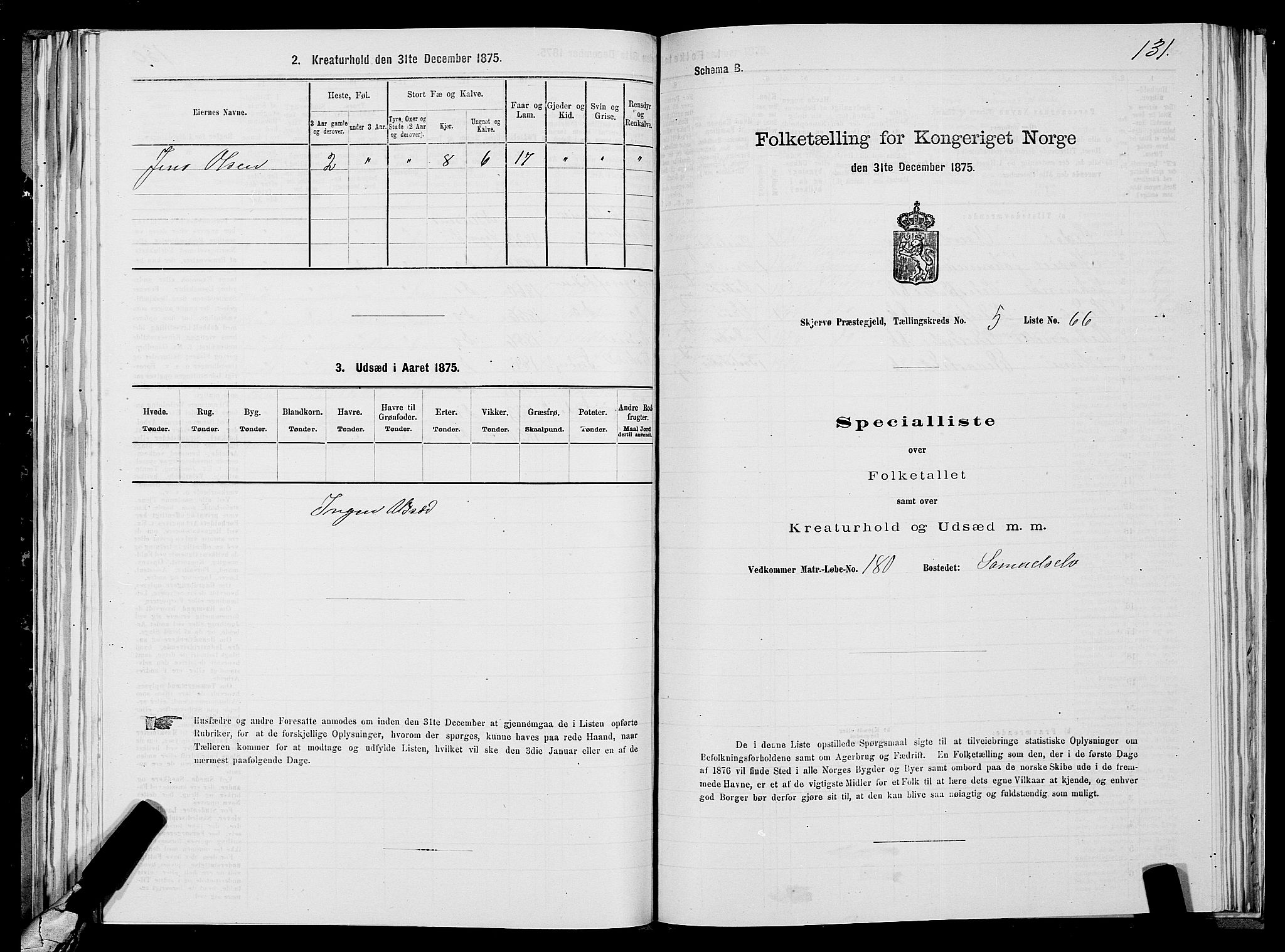 SATØ, 1875 census for 1941P Skjervøy, 1875, p. 4131