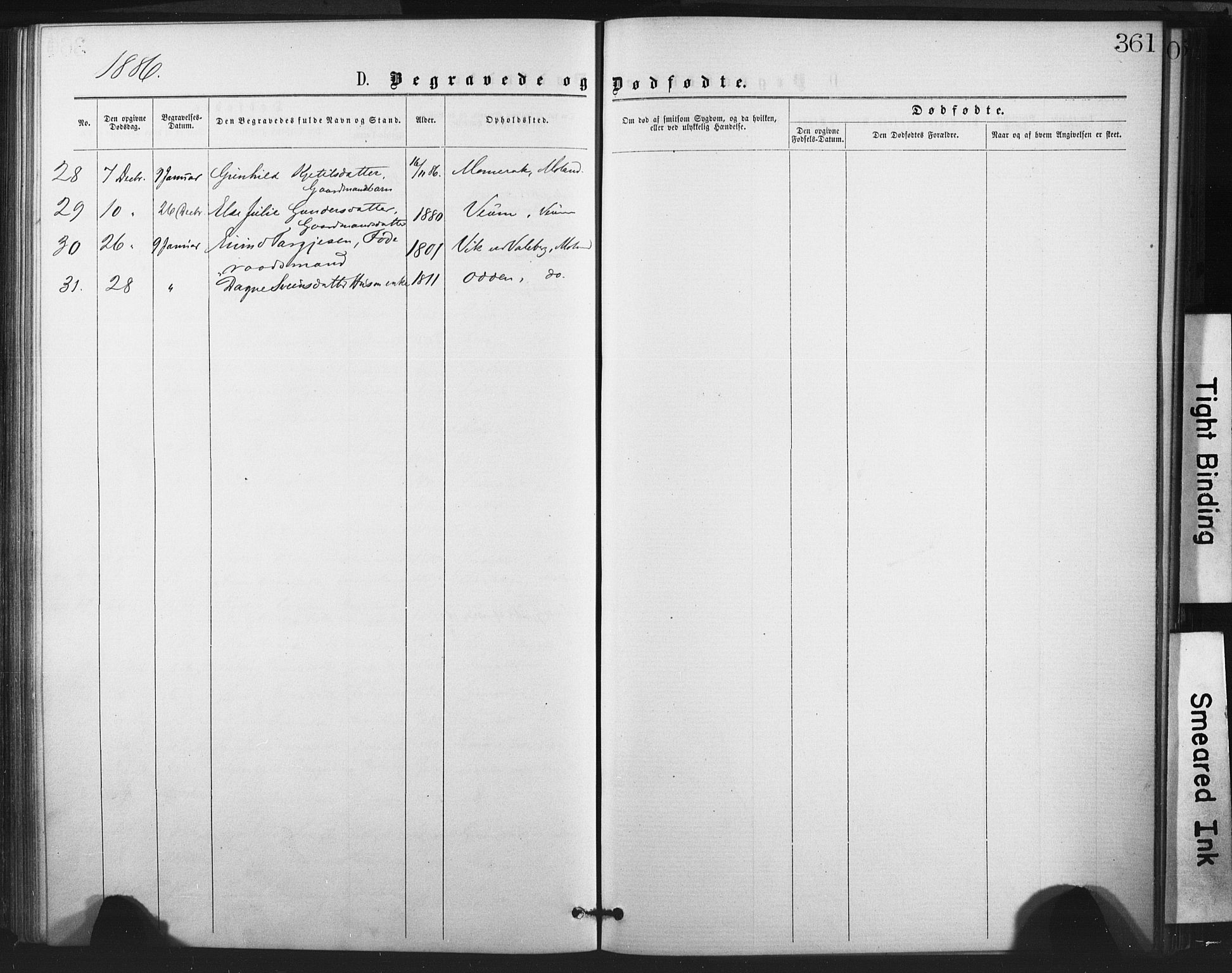 Fyresdal kirkebøker, AV/SAKO-A-263/F/Fa/L0006: Parish register (official) no. I 6, 1872-1886, p. 361