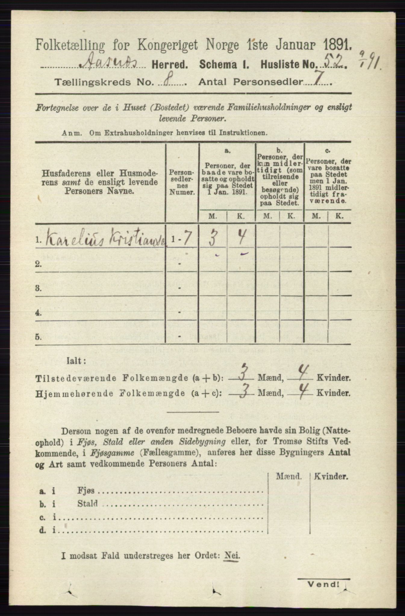 RA, 1891 census for 0425 Åsnes, 1891, p. 4173