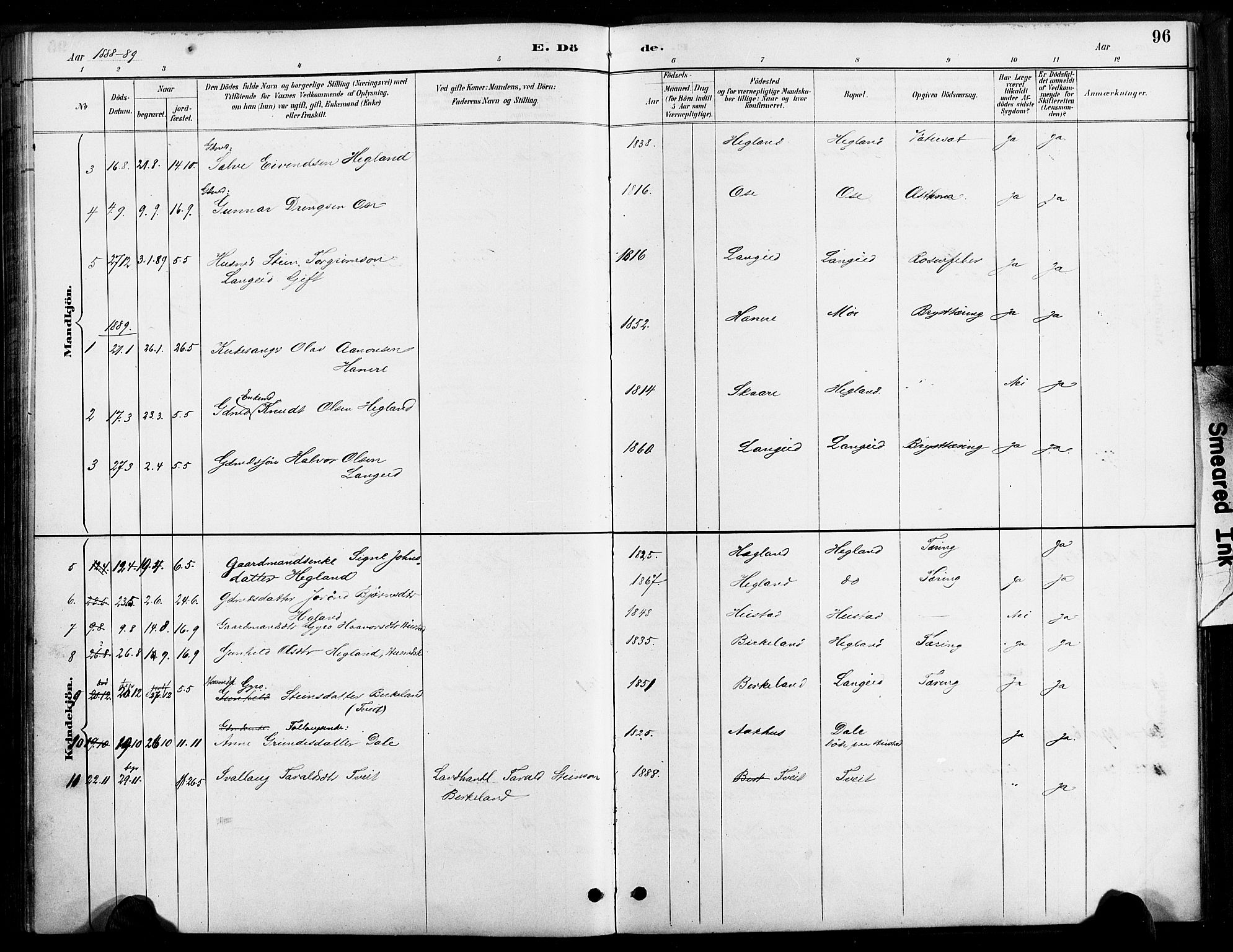 Bygland sokneprestkontor, AV/SAK-1111-0006/F/Fa/Faa/L0001: Parish register (official) no. A 1, 1885-1908, p. 96