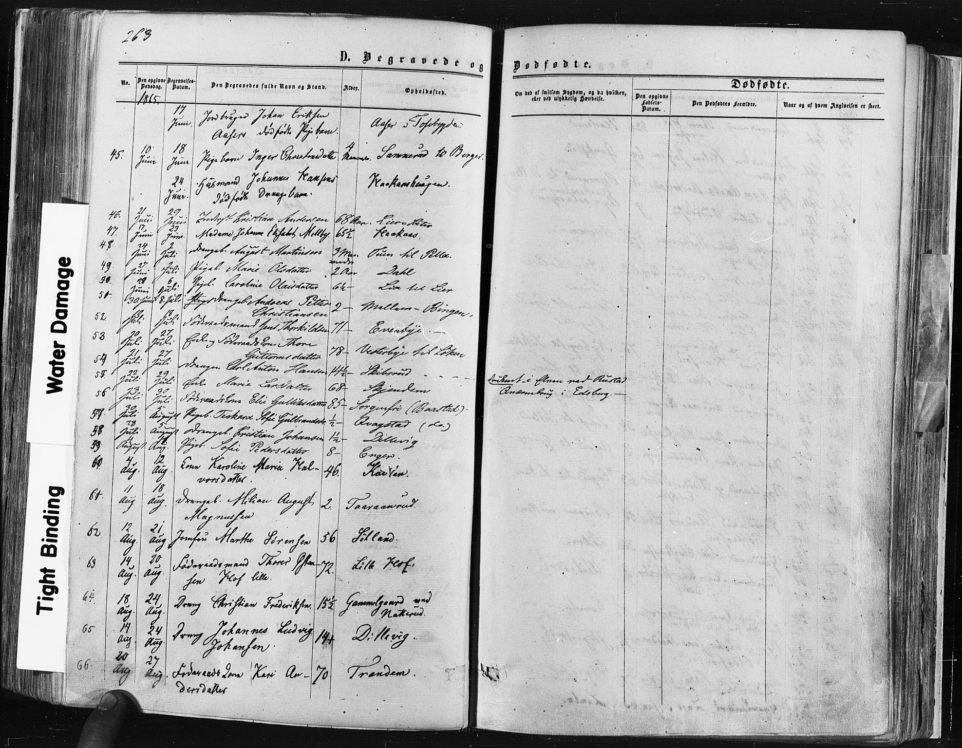 Trøgstad prestekontor Kirkebøker, SAO/A-10925/F/Fa/L0009: Parish register (official) no. I 9, 1865-1877, p. 263