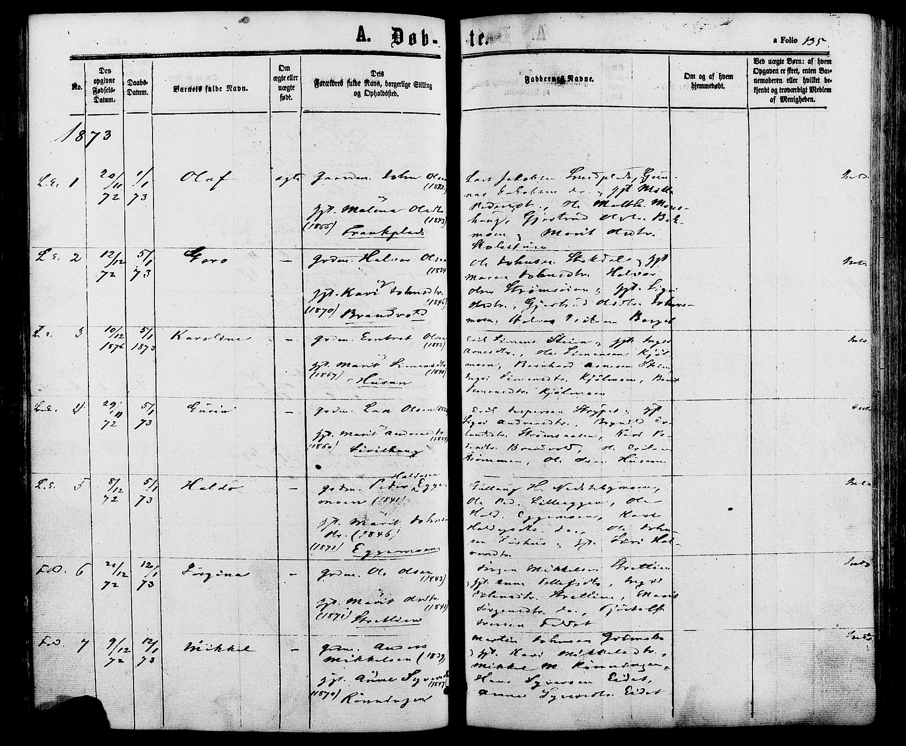 Alvdal prestekontor, SAH/PREST-060/H/Ha/Haa/L0001: Parish register (official) no. 1, 1863-1882, p. 135