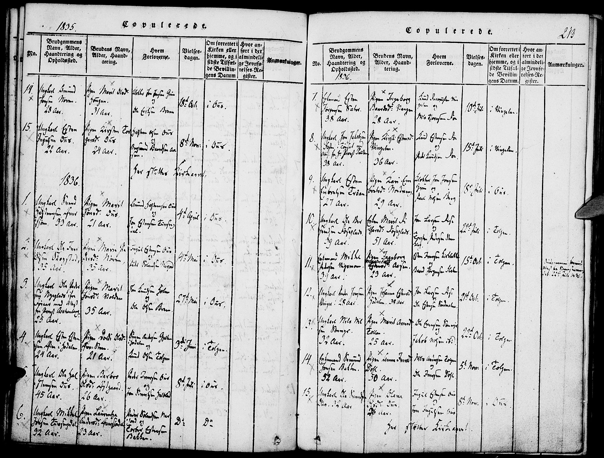 Tolga prestekontor, SAH/PREST-062/K/L0004: Parish register (official) no. 4, 1815-1836, p. 213