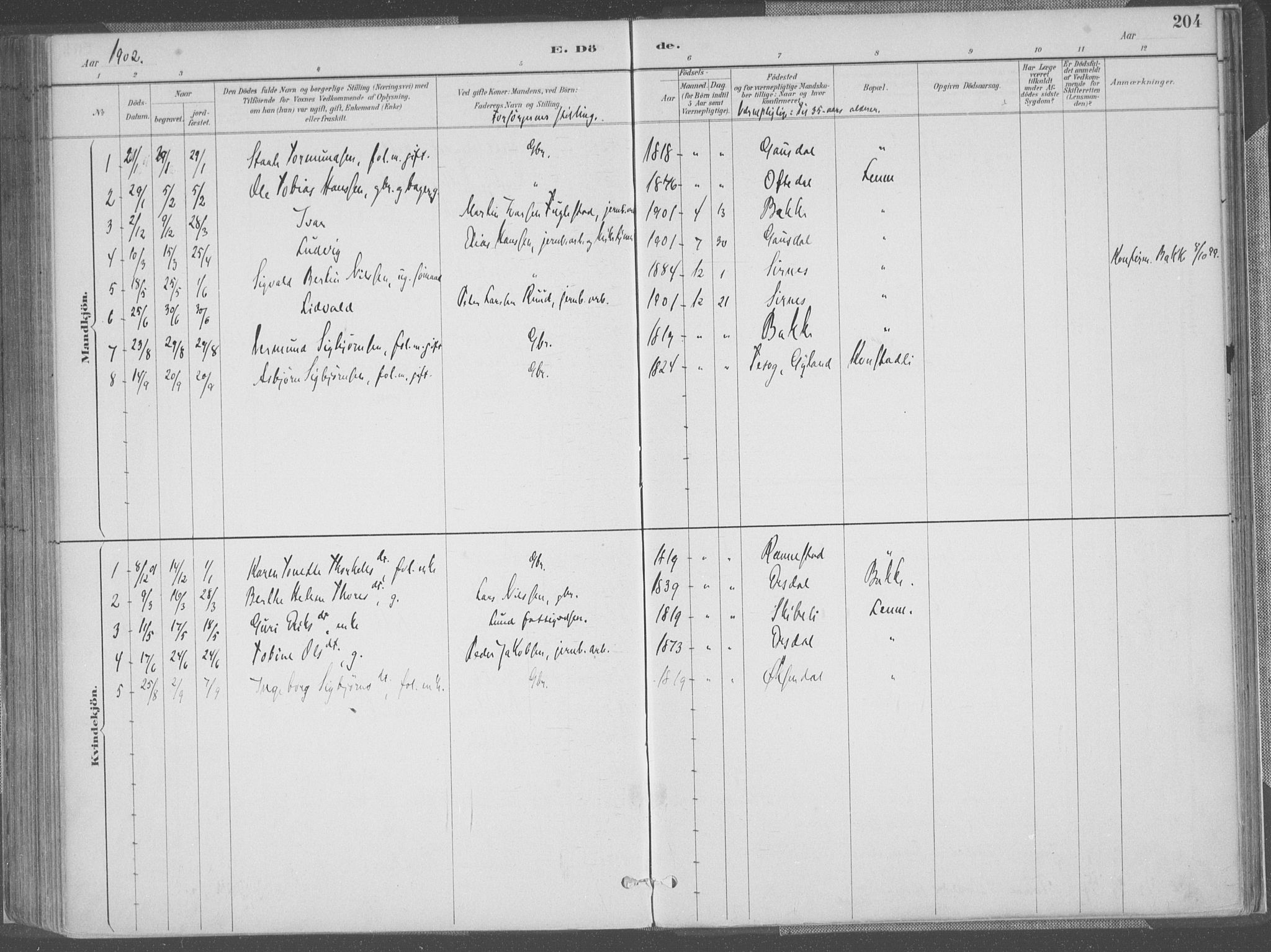 Bakke sokneprestkontor, SAK/1111-0002/F/Fa/Faa/L0008: Parish register (official) no. A 8, 1887-1911, p. 204