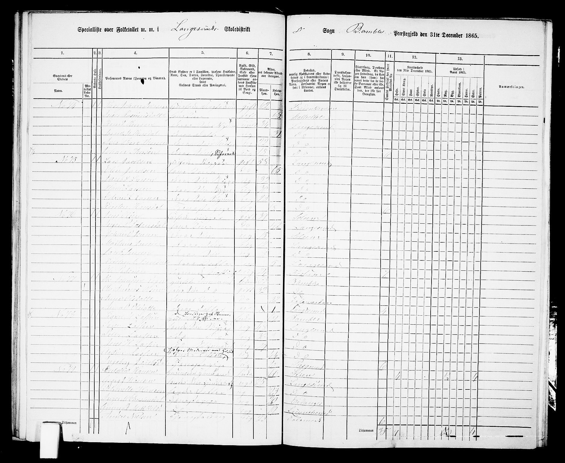 RA, 1865 census for Bamble, 1865, p. 206