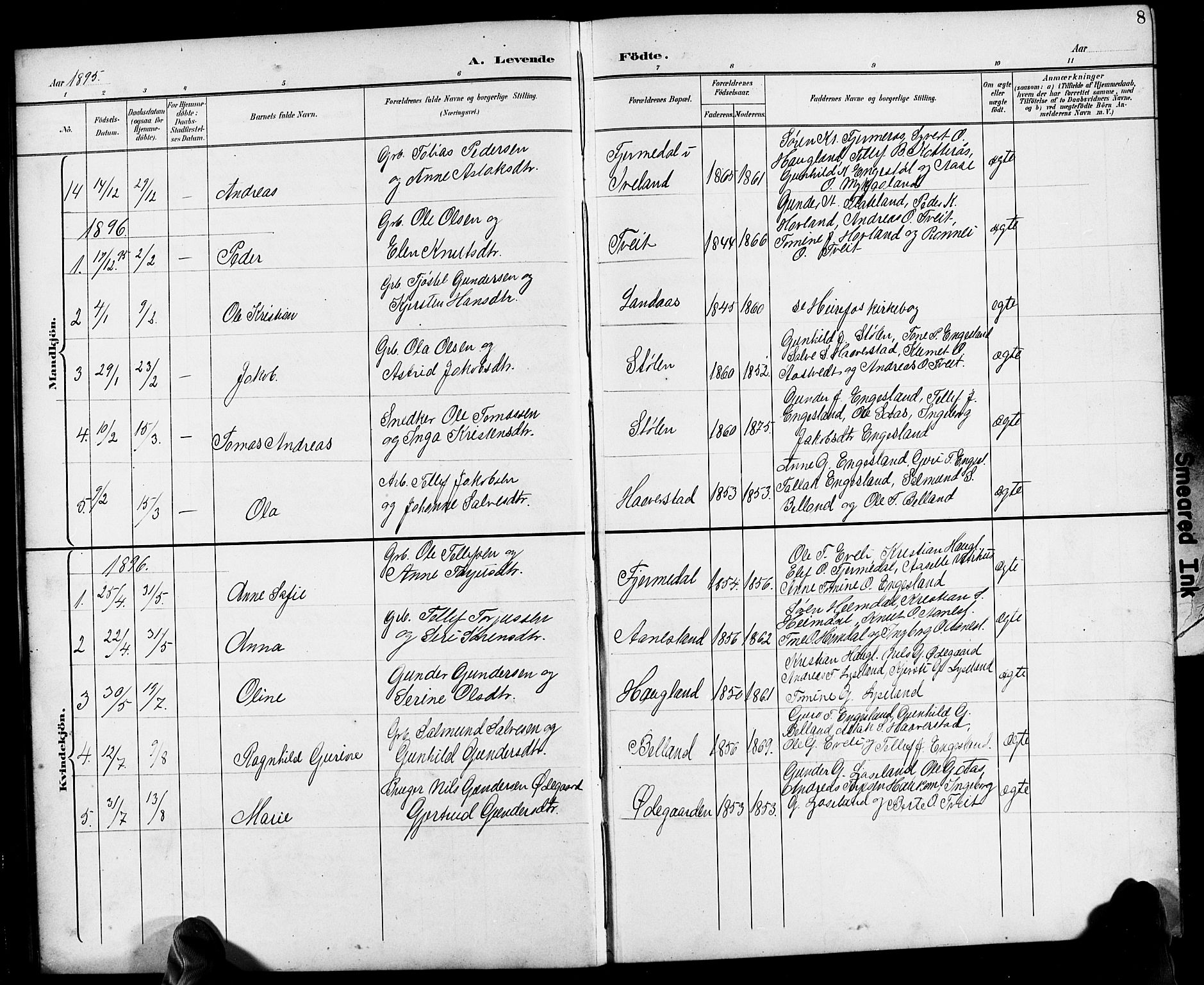 Herefoss sokneprestkontor, SAK/1111-0019/F/Fb/Fbb/L0003: Parish register (copy) no. B 3, 1892-1917, p. 8