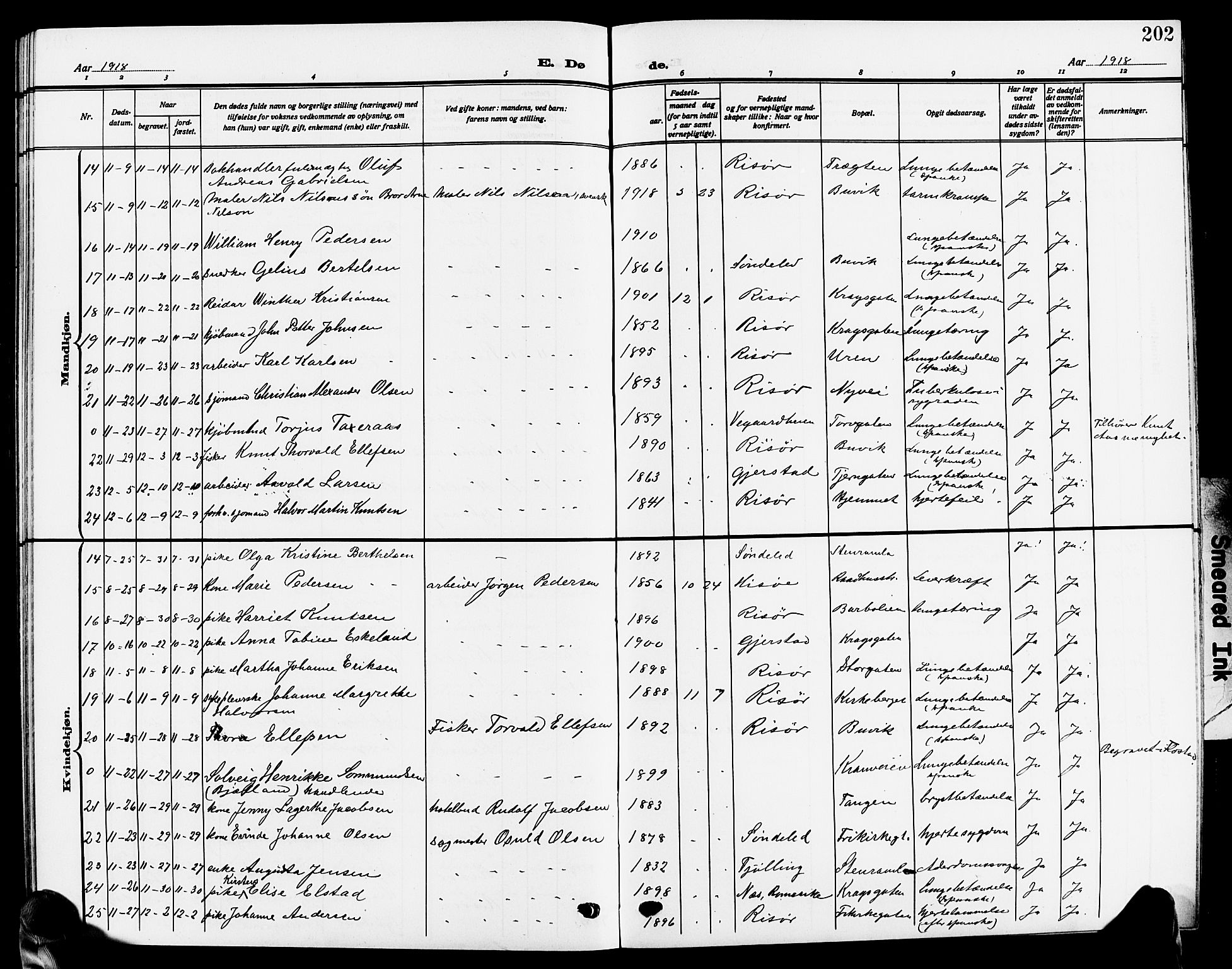 Risør sokneprestkontor, SAK/1111-0035/F/Fb/L0008: Parish register (copy) no. B 8, 1909-1921, p. 202