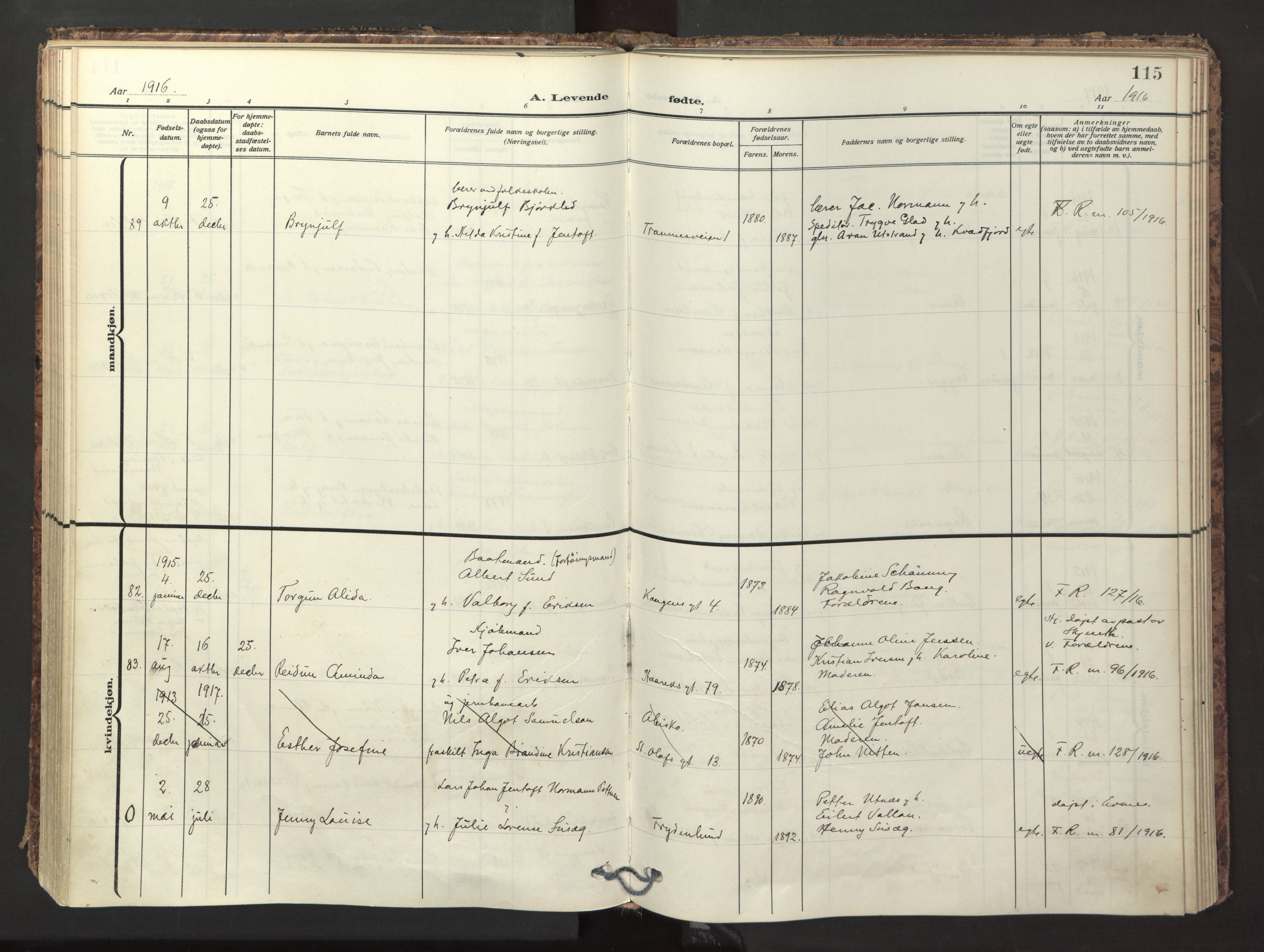 Ministerialprotokoller, klokkerbøker og fødselsregistre - Nordland, AV/SAT-A-1459/871/L1001: Parish register (official) no. 871A17, 1911-1921, p. 115