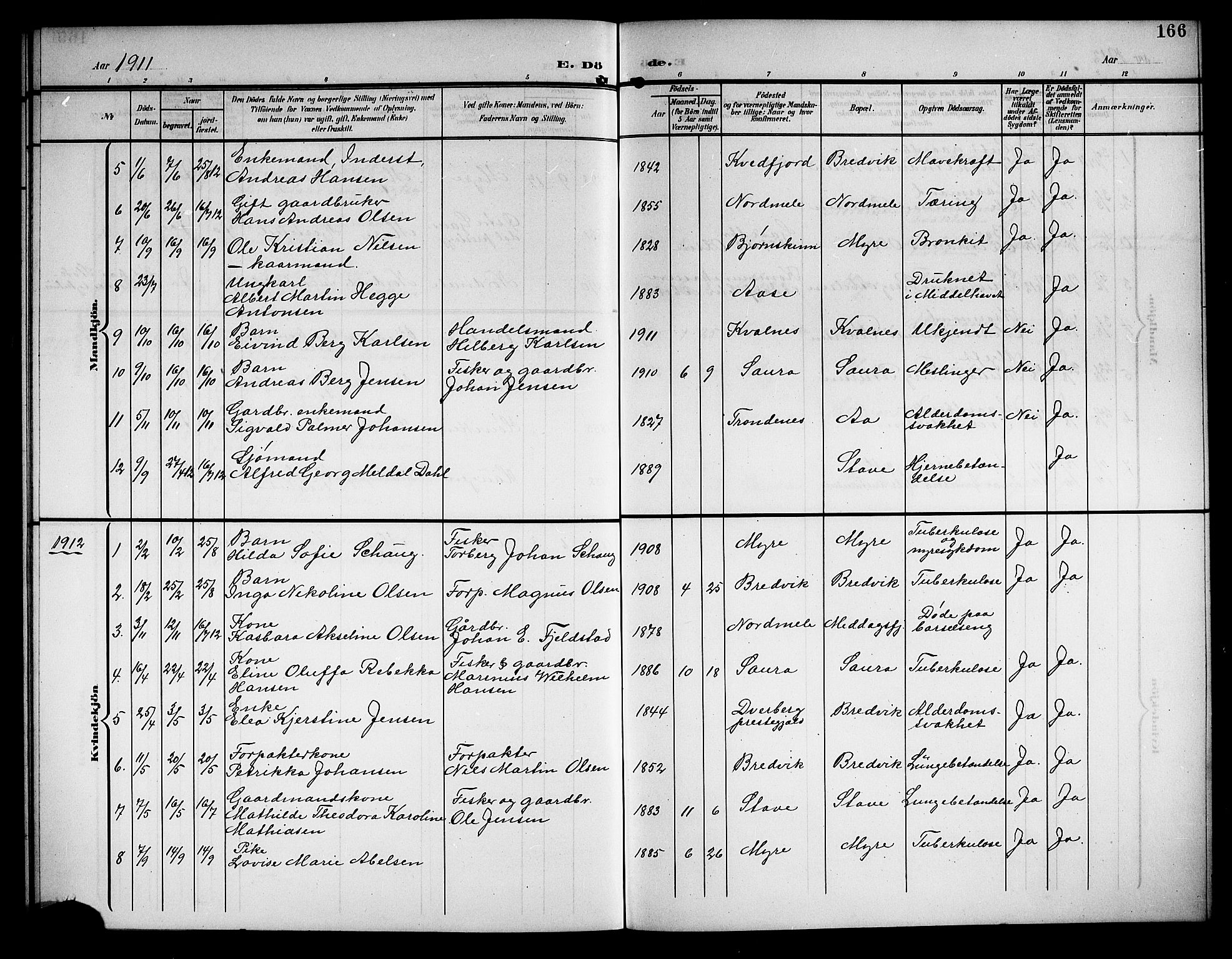 Ministerialprotokoller, klokkerbøker og fødselsregistre - Nordland, AV/SAT-A-1459/897/L1414: Parish register (copy) no. 897C04, 1904-1915, p. 166