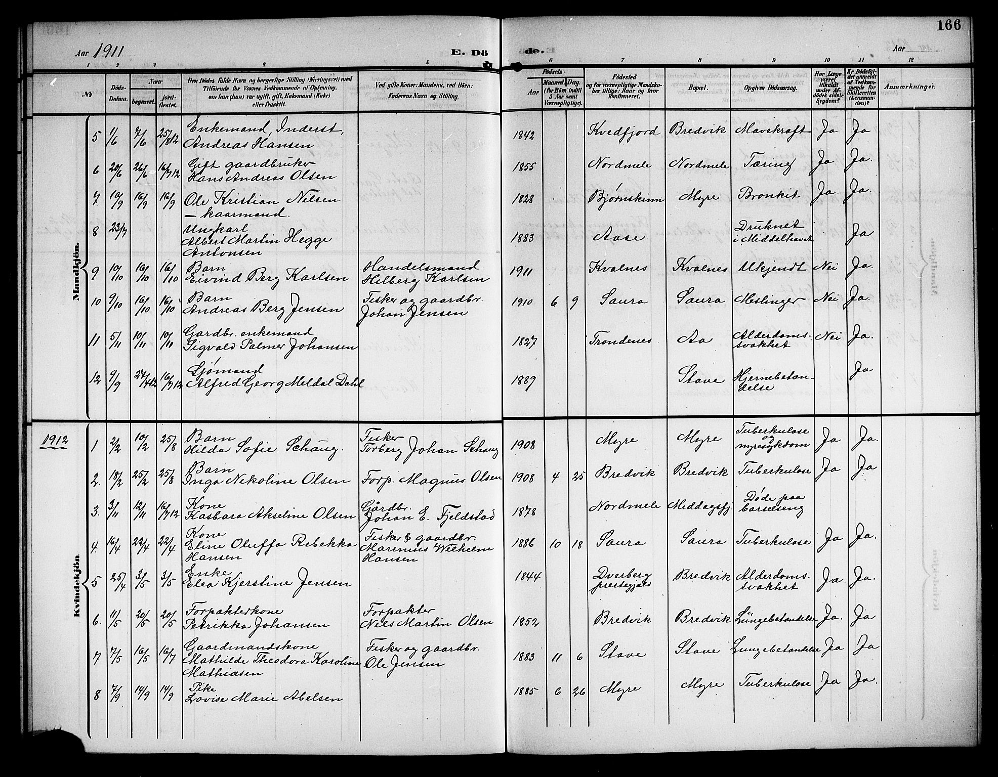 Ministerialprotokoller, klokkerbøker og fødselsregistre - Nordland, SAT/A-1459/897/L1414: Parish register (copy) no. 897C04, 1904-1915, p. 166