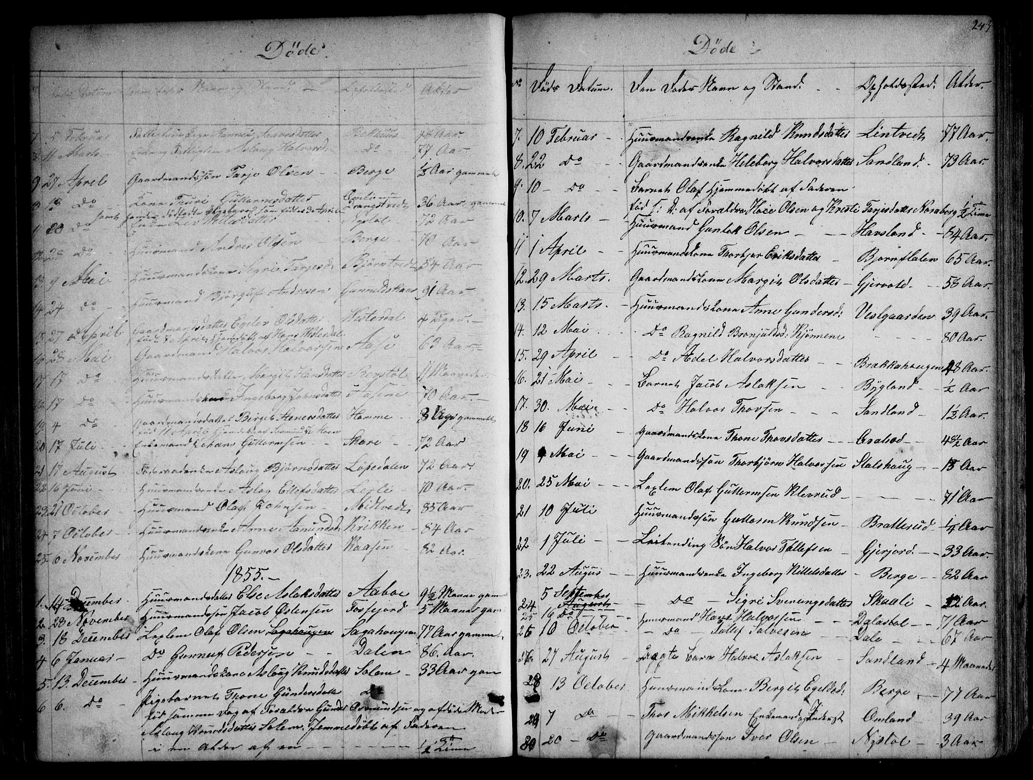 Kviteseid kirkebøker, SAKO/A-276/G/Gb/L0002: Parish register (copy) no. II 2, 1850-1892, p. 243