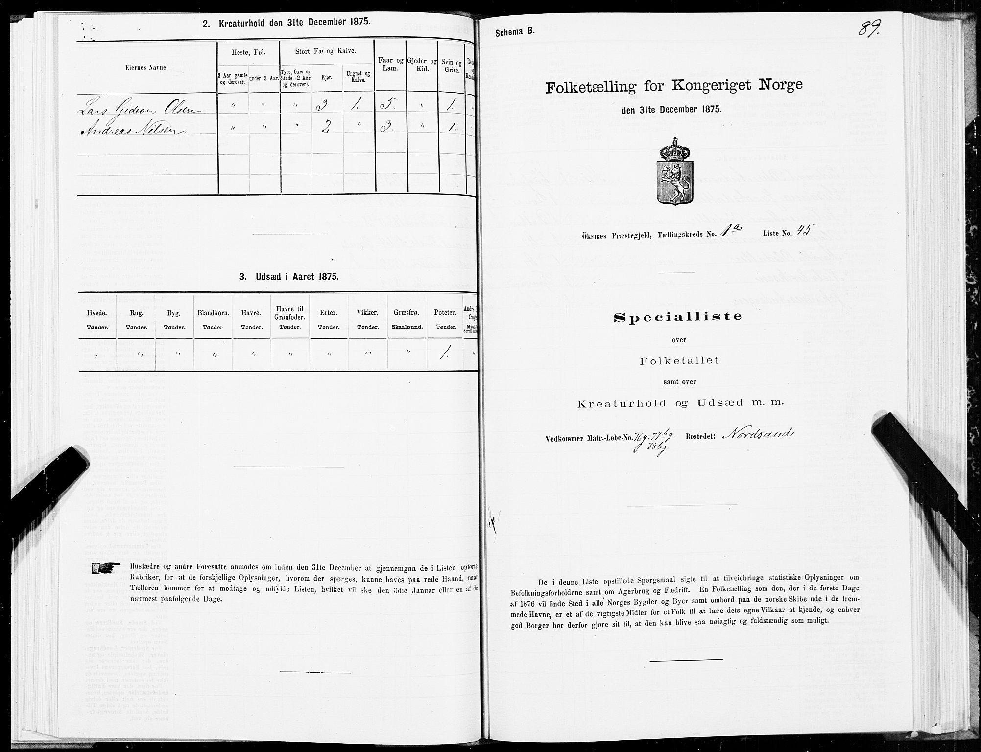 SAT, 1875 census for 1868P Øksnes, 1875, p. 1089