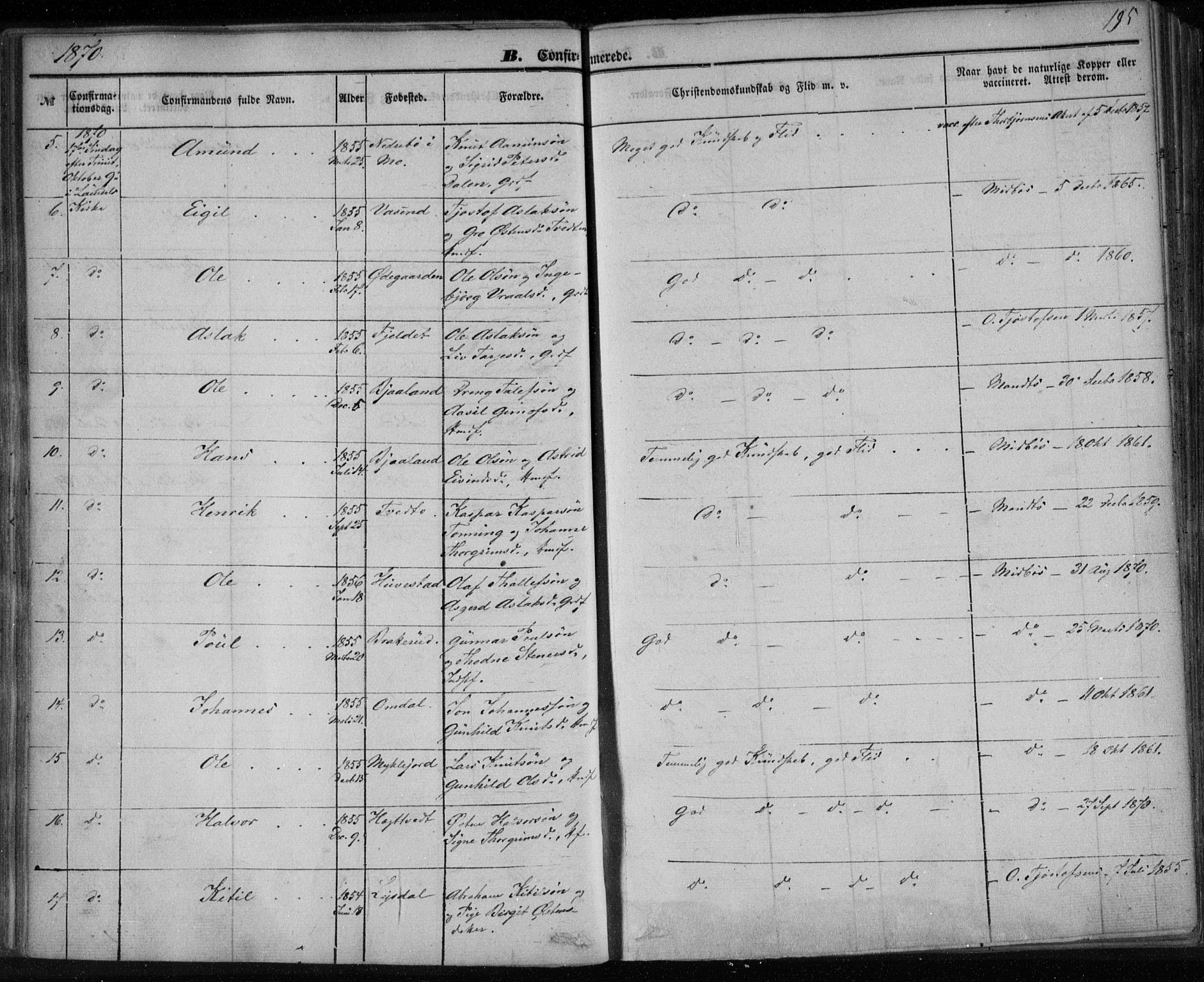 Lårdal kirkebøker, SAKO/A-284/F/Fa/L0006: Parish register (official) no. I 6, 1861-1886, p. 195
